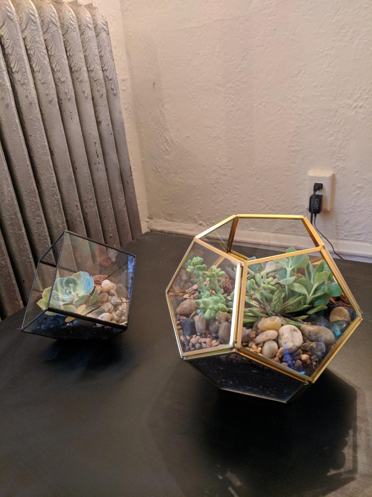 NCYP Small 3.93 Inches Geometric Glass Terrarium Box, Inclined Cube Clear Decorative Planter, Tabletop Air Plant Holder, Succulent Display Flower Pot, Black Centerpiece (No Plants, No Lid) customer photo 2