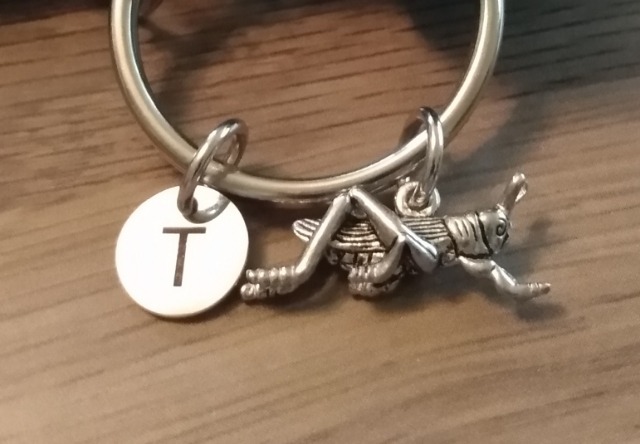 Grasshopper keychain, grasshopper charm, insect, personalized, initial, customized, monogram customer photo 1
