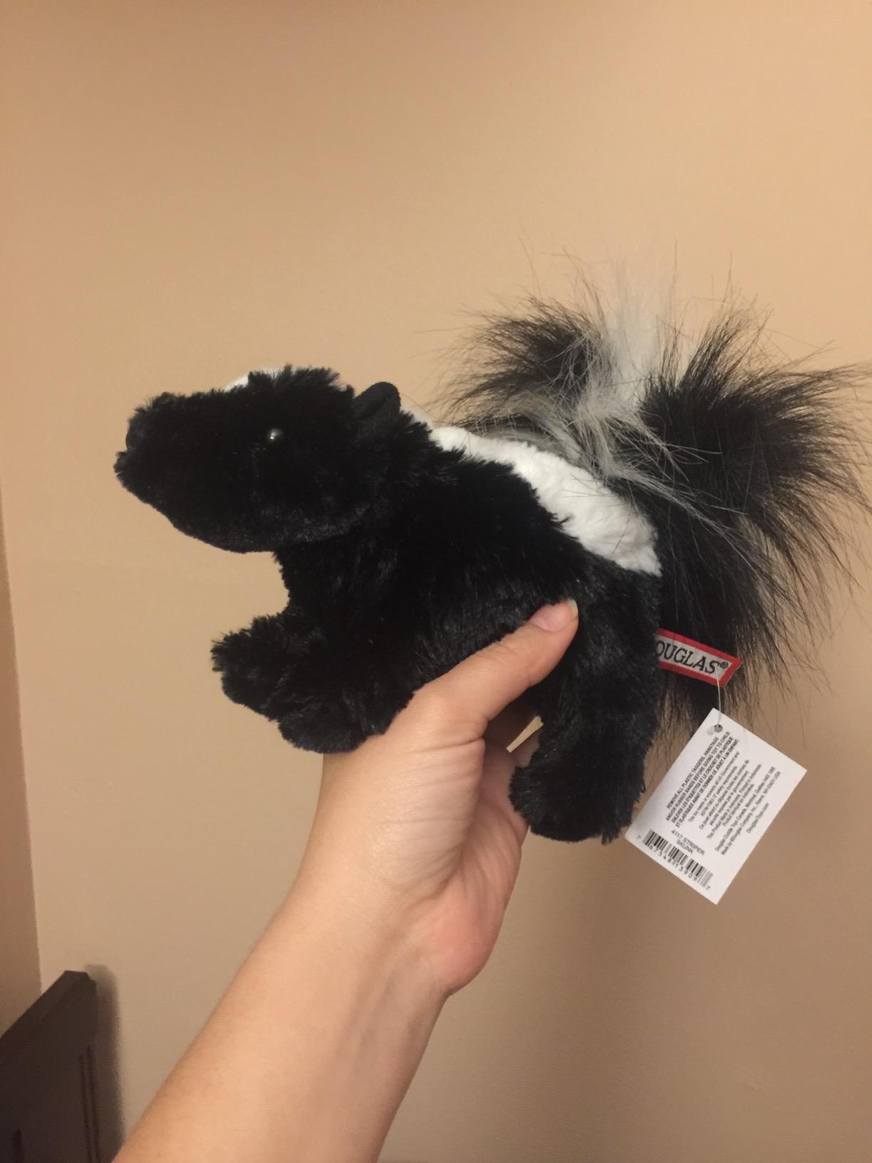 Douglas Striper Skunk Plush Stuffed Animal customer photo 2