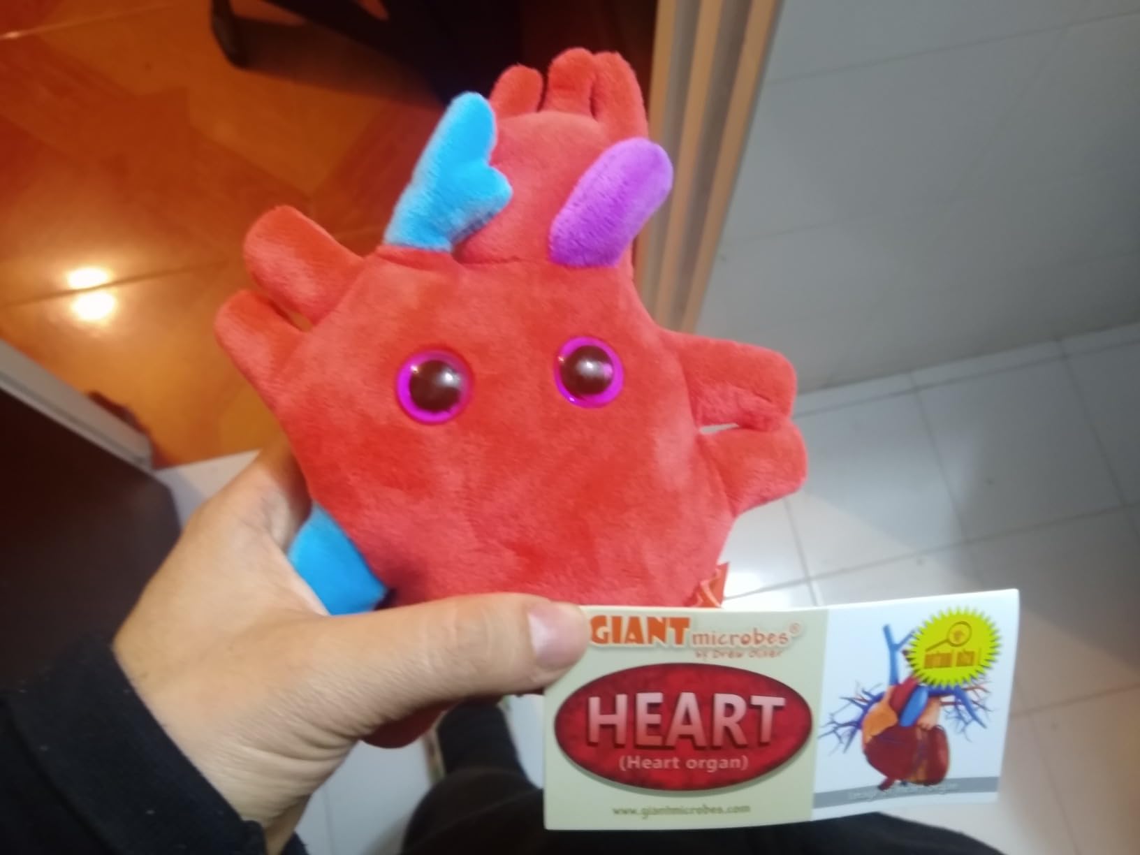 GIANTmicrobes Heart Plush, Organ Transplant Gifts, Open Heart Surgery Gifts | Soft 6