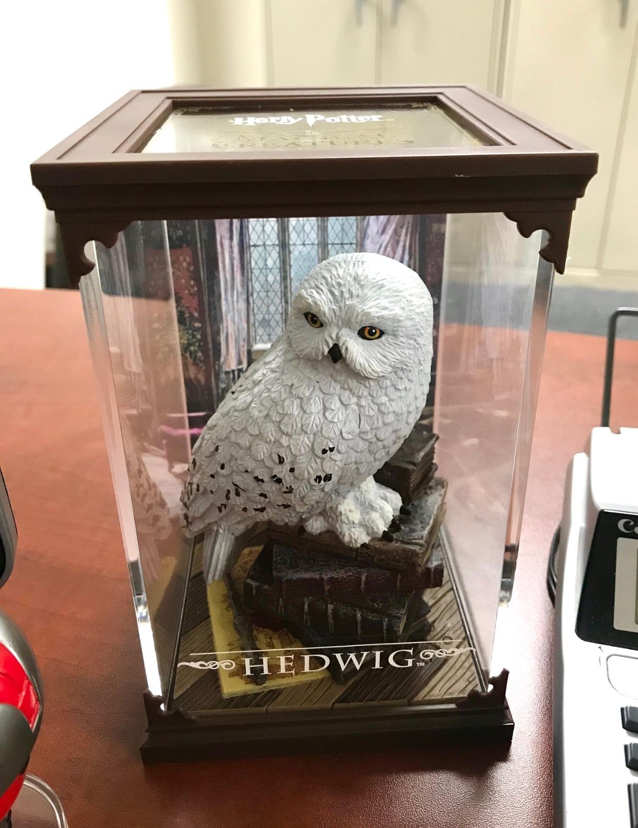 The Noble Collection Harry Potter Magical Creatures: No.1 Hedwig customer photo 1