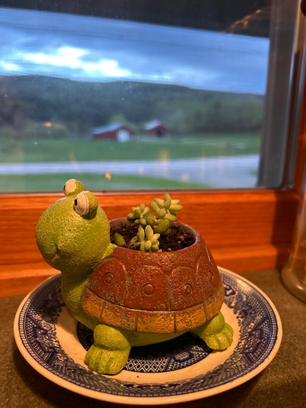 Turtle Succulent Planter Pots - Handmade Resin Bonsai Pot with Drainage Hole, Mini Plant Pot for Succulents, Turtle Decor & Gifts for Women, Small Succulent Pots for Office Desk & Home customer photo 2