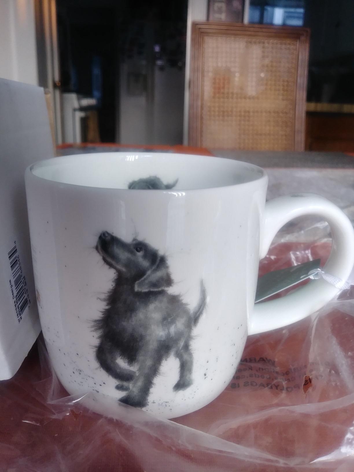 Royal Worcester Wrendale Designs 11 oz Mug, Zoo Role Model customer photo 1