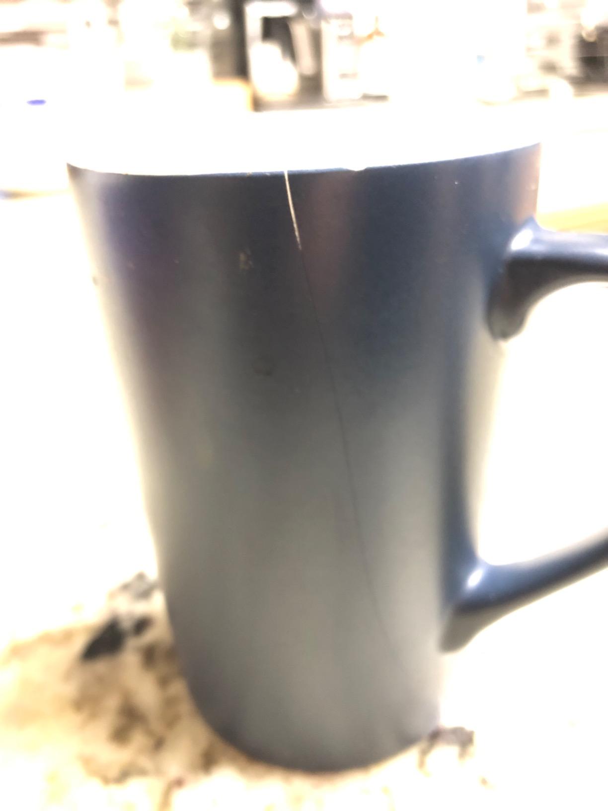 MAUAG Funny Coffee Mug Have a Great Day Cup Blue, 15 Oz customer photo 2