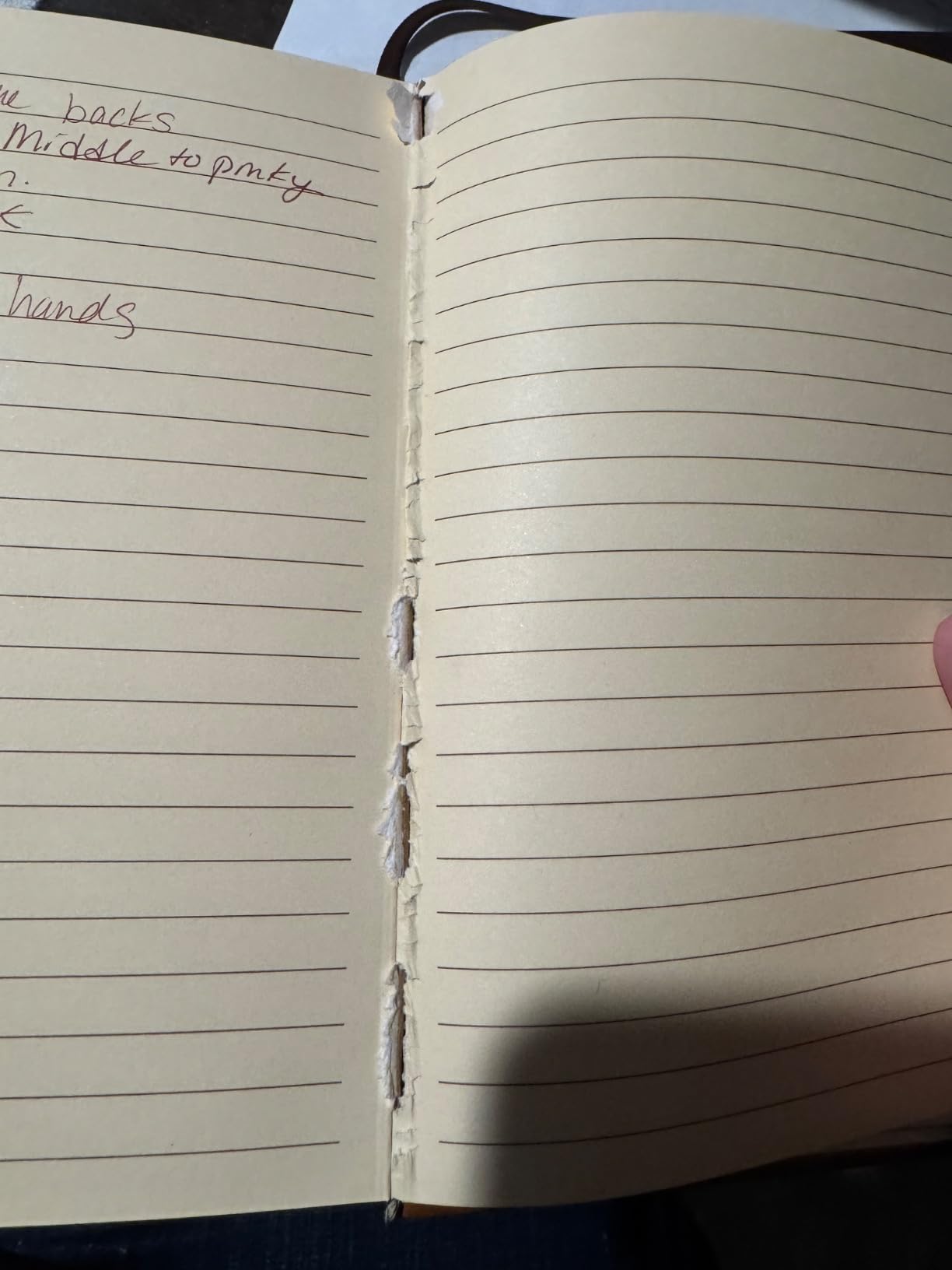 Hallmark Journal (Twelve Mickeys) customer photo 1