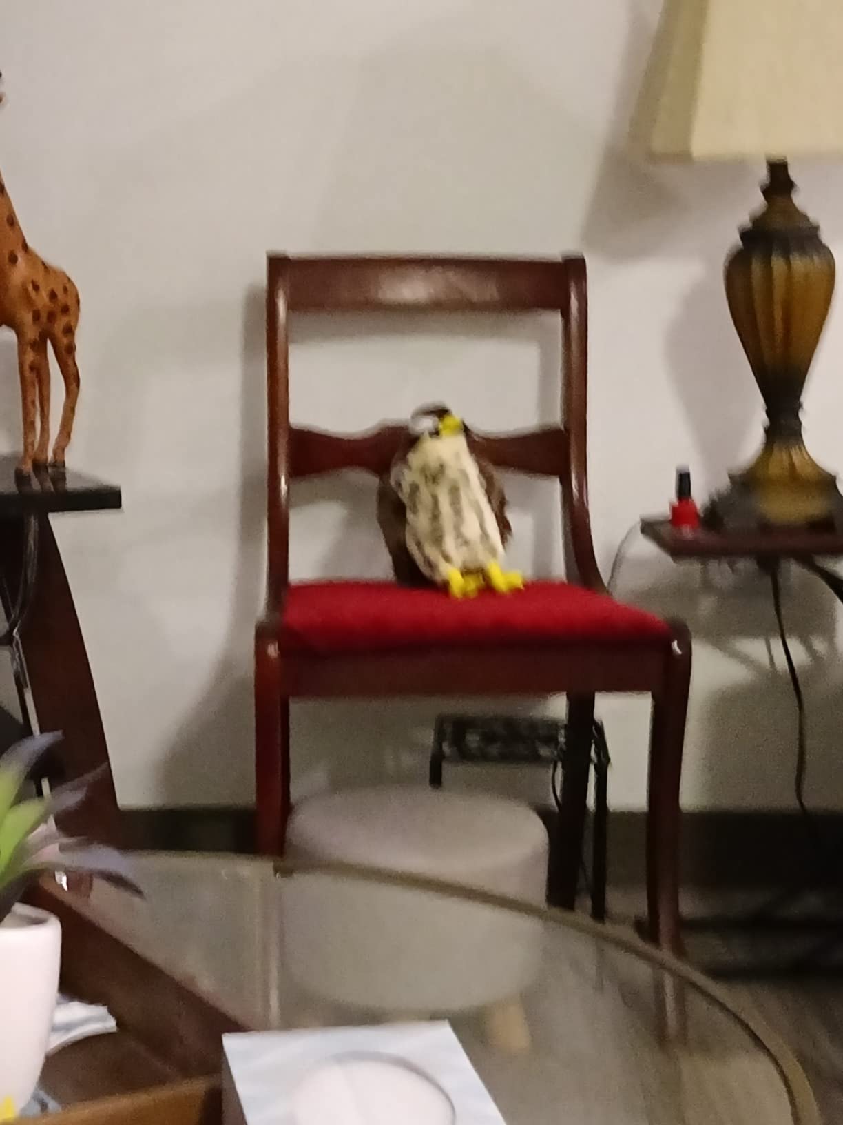 TigerHart Percival the Peregrine Falcon | 10 Inch Hawk Stuffed Animal Plush Bird Toys customer photo 2