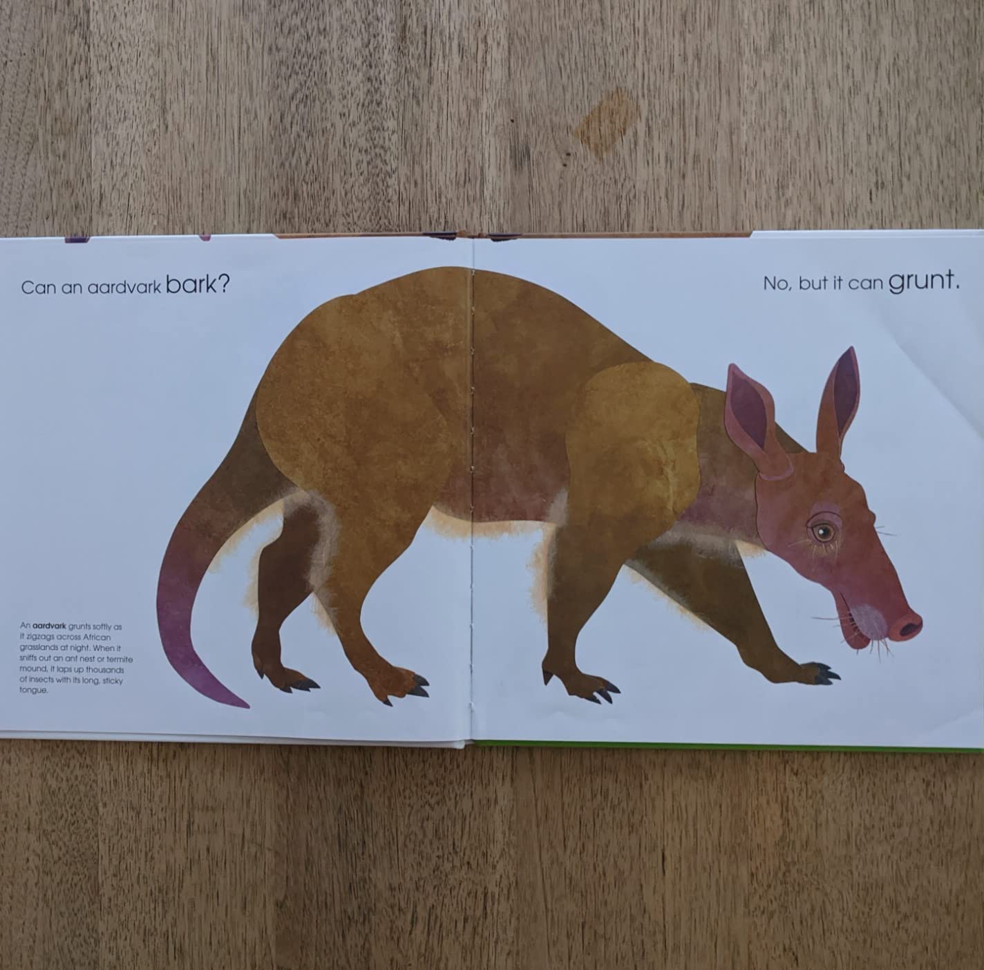 Can an Aardvark Bark? customer photo 1