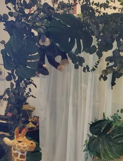 TigerHart Chance The Chimpanzee - 14 Inch (with Hanging Arms Outstretched) Large Hanging Monkey Chimp Stuffed Animal Plush Ape customer photo 1