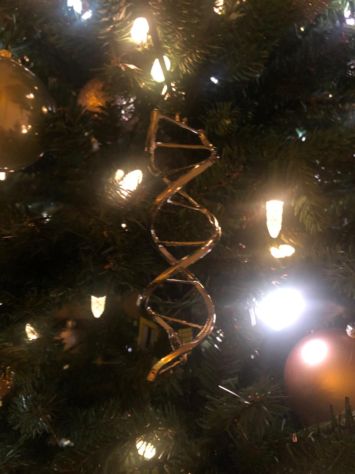 Anatomology DNA Hanging Ornament, Scientific/Unique, Metal, Holiday, Office customer photo 1