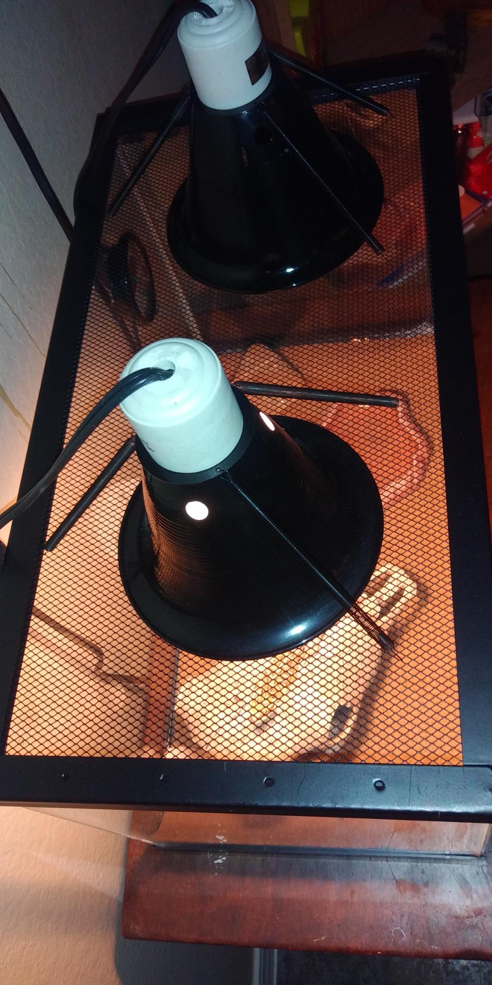 Zilla 10 Gallon Pet Reptile Starter Habitat Kit with Light and Heat for Small Desert Dwelling Animals customer photo 2
