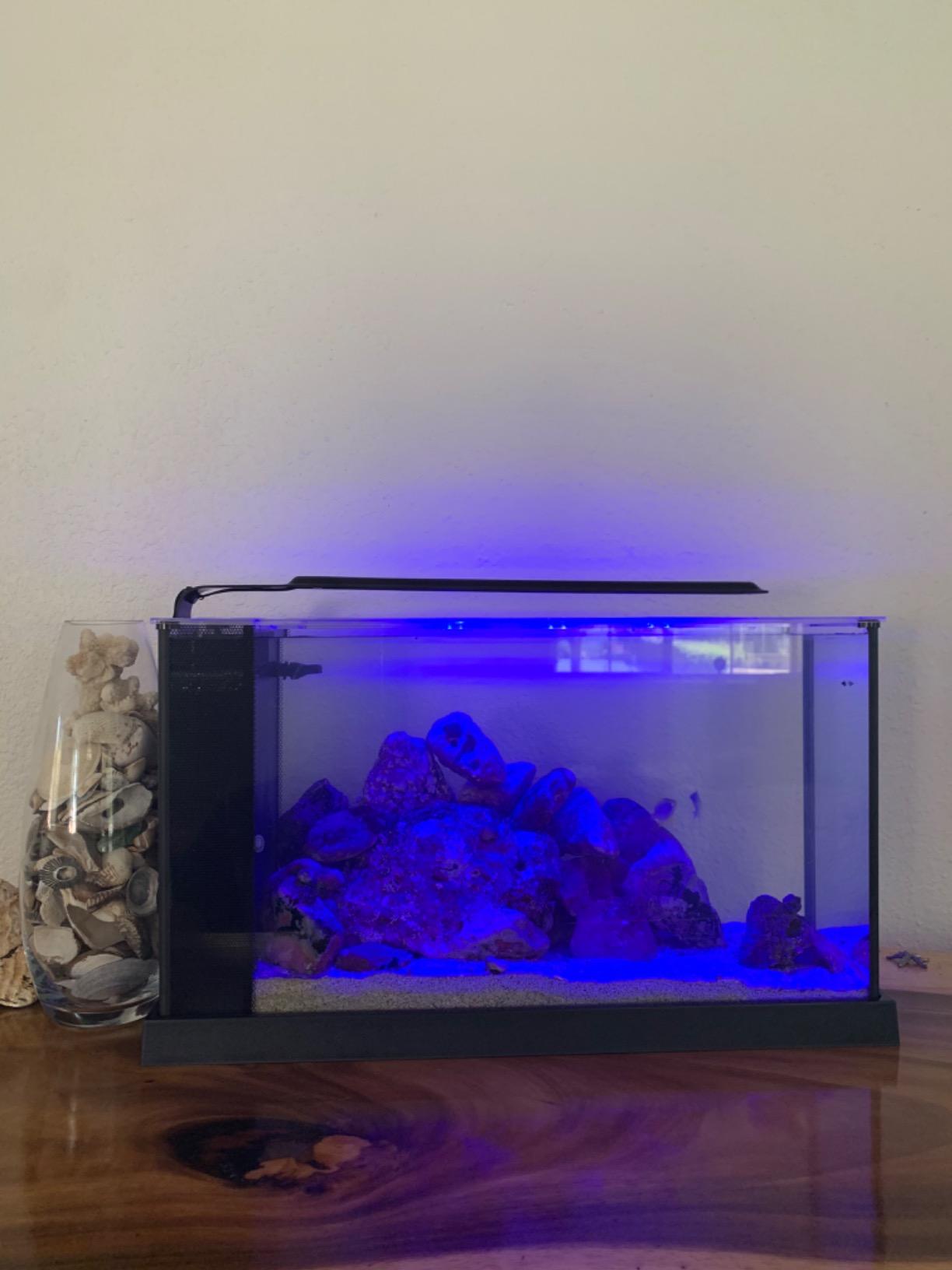 Fluval Sea Evo V Saltwater Fish Tank Aquarium Kit, Black, 5 gal, 10528A1 customer photo 2