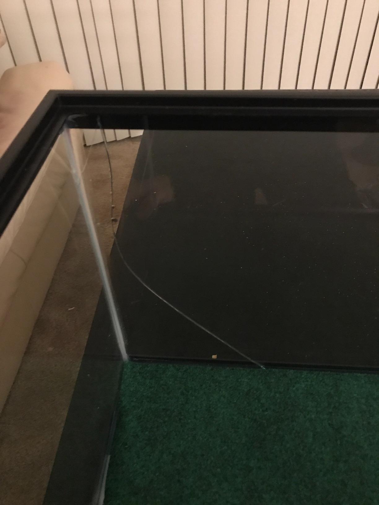 Zilla 10 Gallon Pet Reptile Starter Habitat Kit with Light and Heat for Small Tropical Dwelling Animals customer photo 1