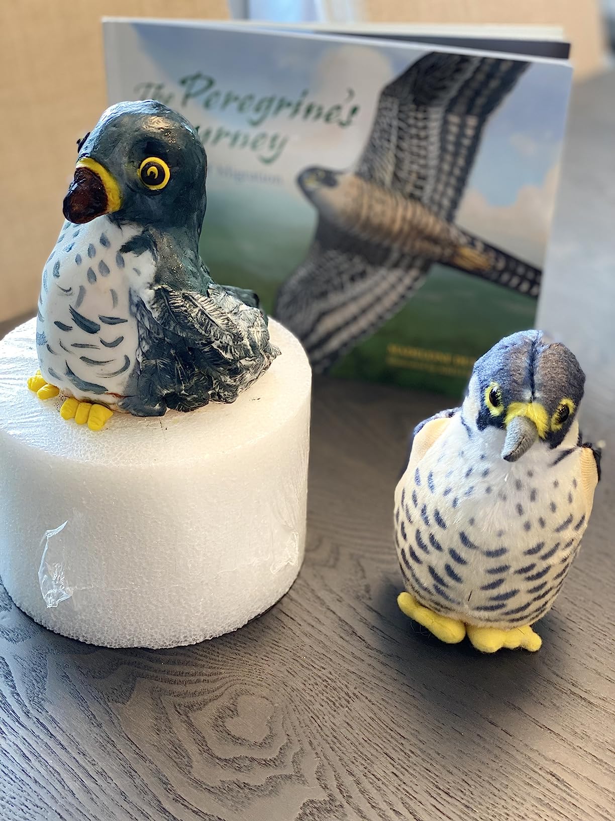 AUD II PEREGRINE FALCON (Audubon Birds Peregrine Falcon with Authentic Bird Sound) customer photo 2