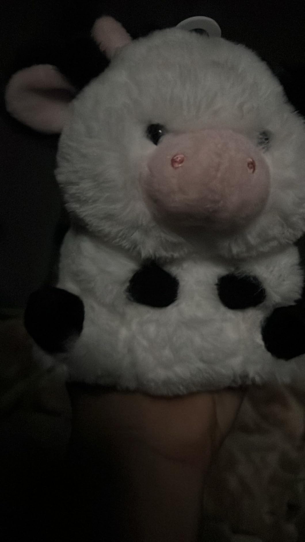 Aurora Rolly Pet 5