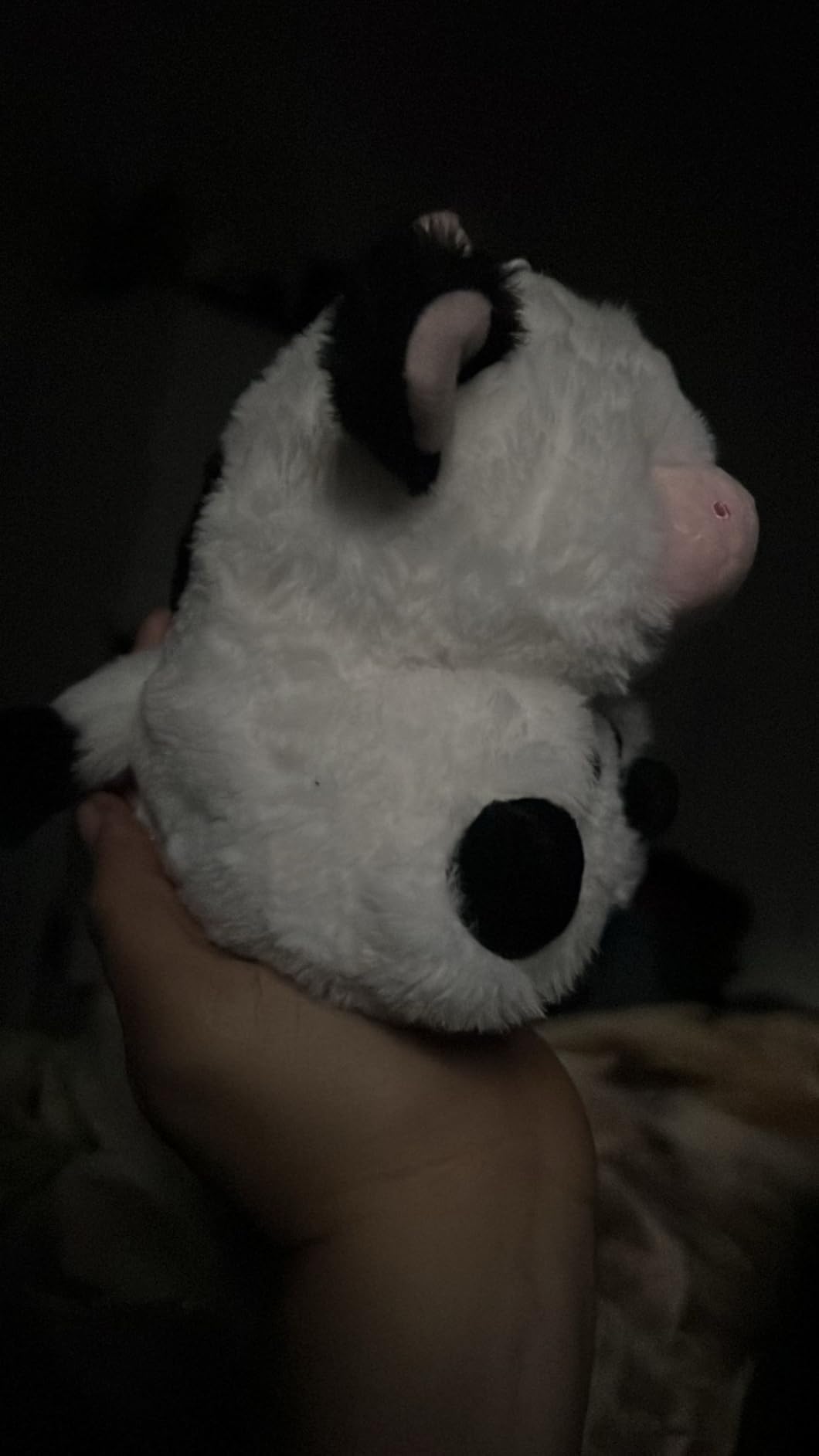 Aurora Rolly Pet 5