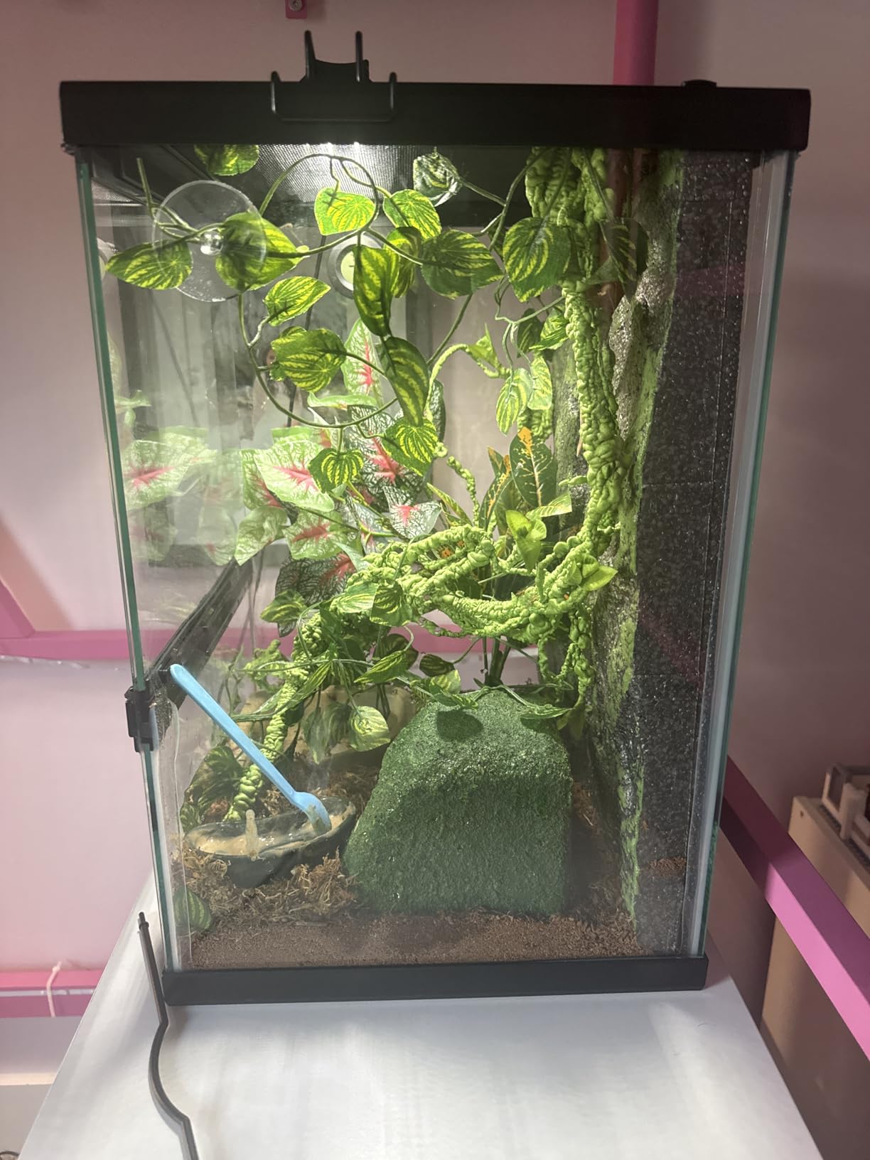 Zilla 11 Gallon Glass Tropical Vertical Habitat Starter Kit for Small Tree Dwelling Reptiles & Amphibians customer photo 1