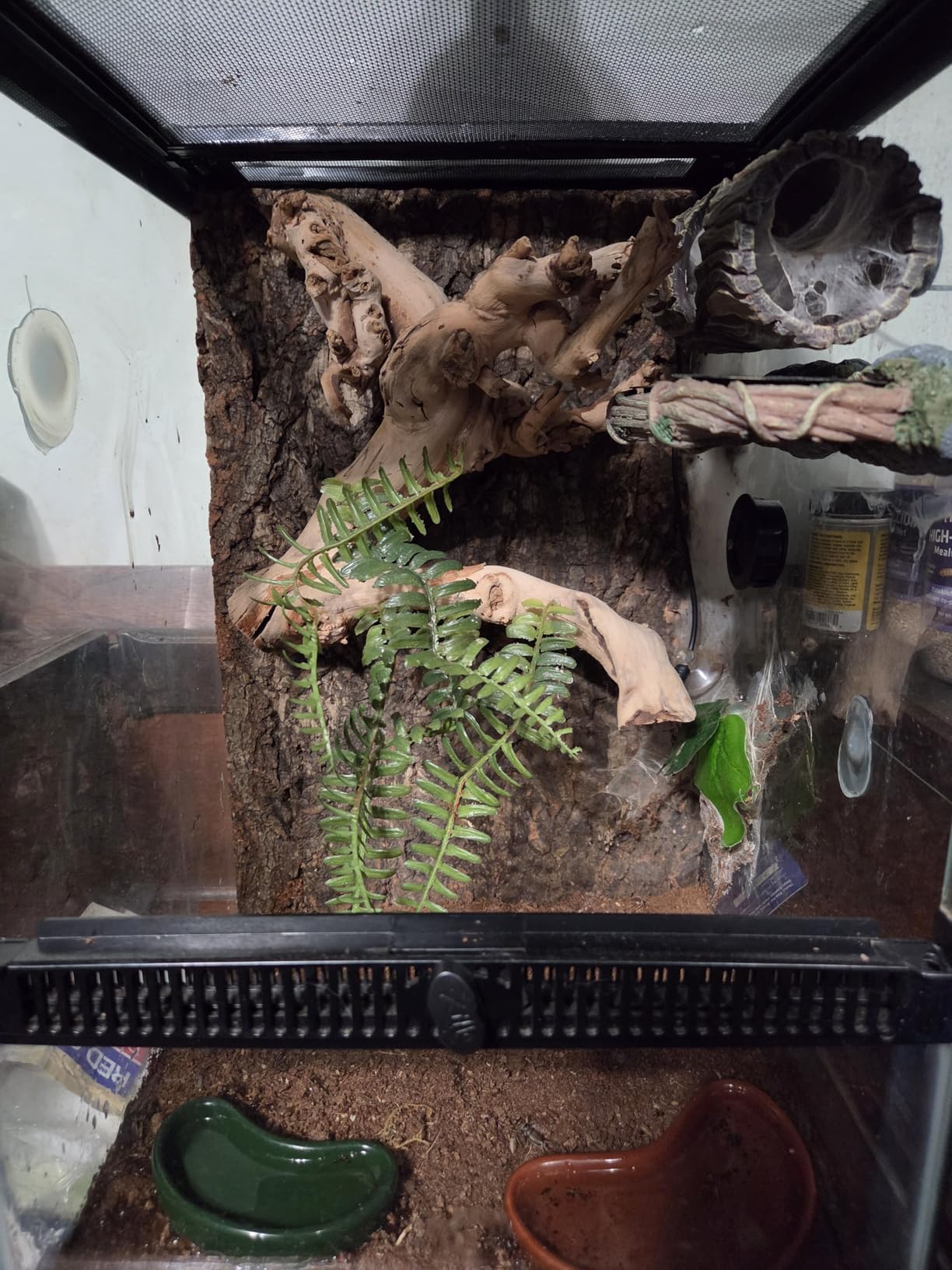 Zilla 11 Gallon Glass Tropical Vertical Habitat Starter Kit for Small Tree Dwelling Reptiles & Amphibians customer photo 2