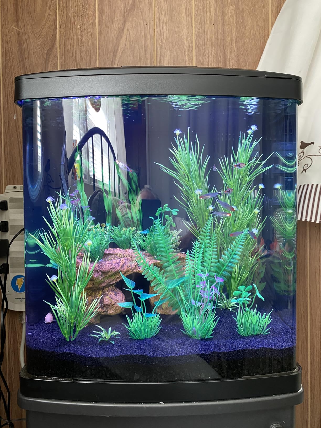 Coralife BioCube, Aquarium Kit, Nano Tank, Customizable LED Lighting, for Saltwater and Freshwater Environments, 16 Gallons customer photo 2