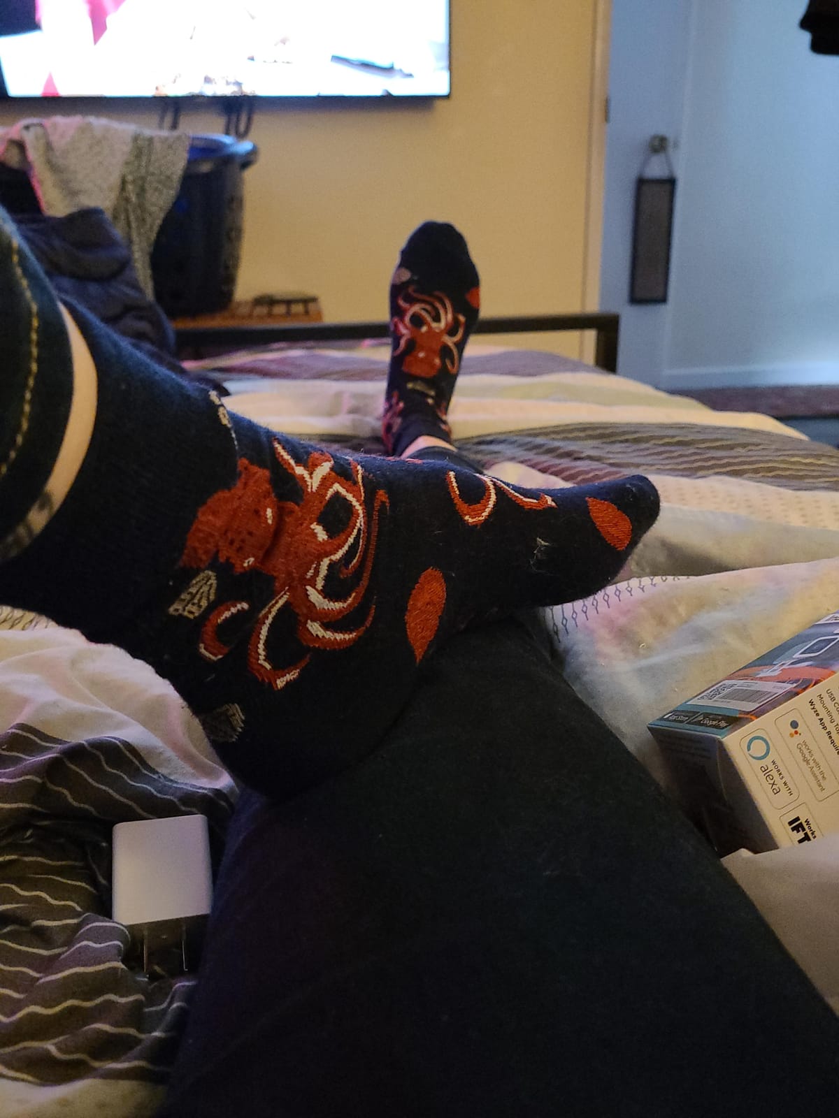 Good Luck Sock Women's Fish and Ocean Animal Socks, Adult customer photo 1