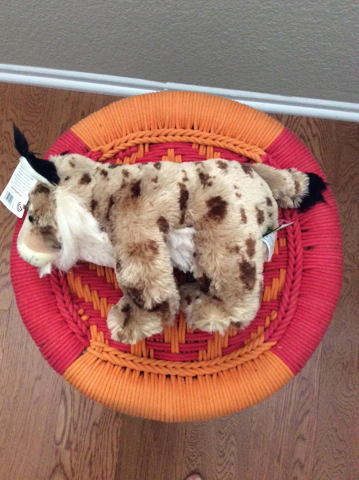 Wild Republic Lynx Baby Plush, Stuffed Animal, Plush Toy, Gifts for Kids, Cuddlekins, 8 inches customer photo 2