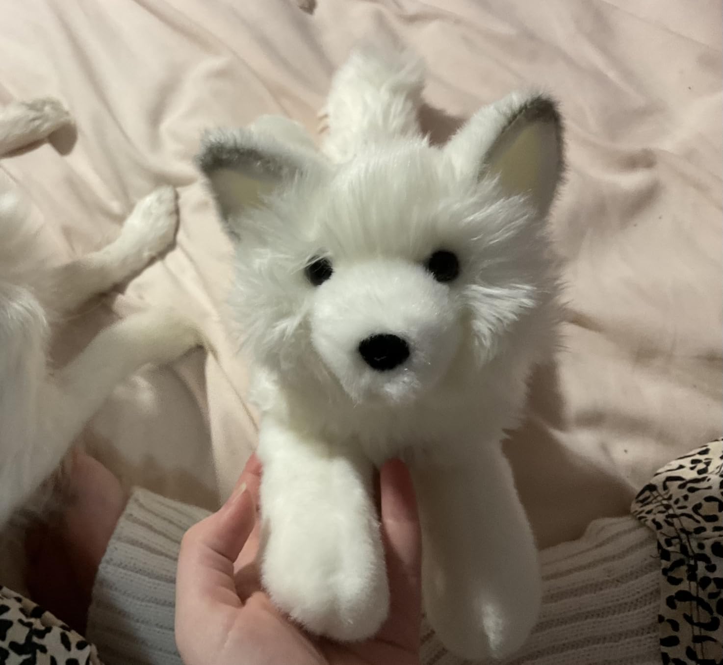 Douglas Yuki Arctic Polar Fox Plush Stuffed Animal customer photo 1