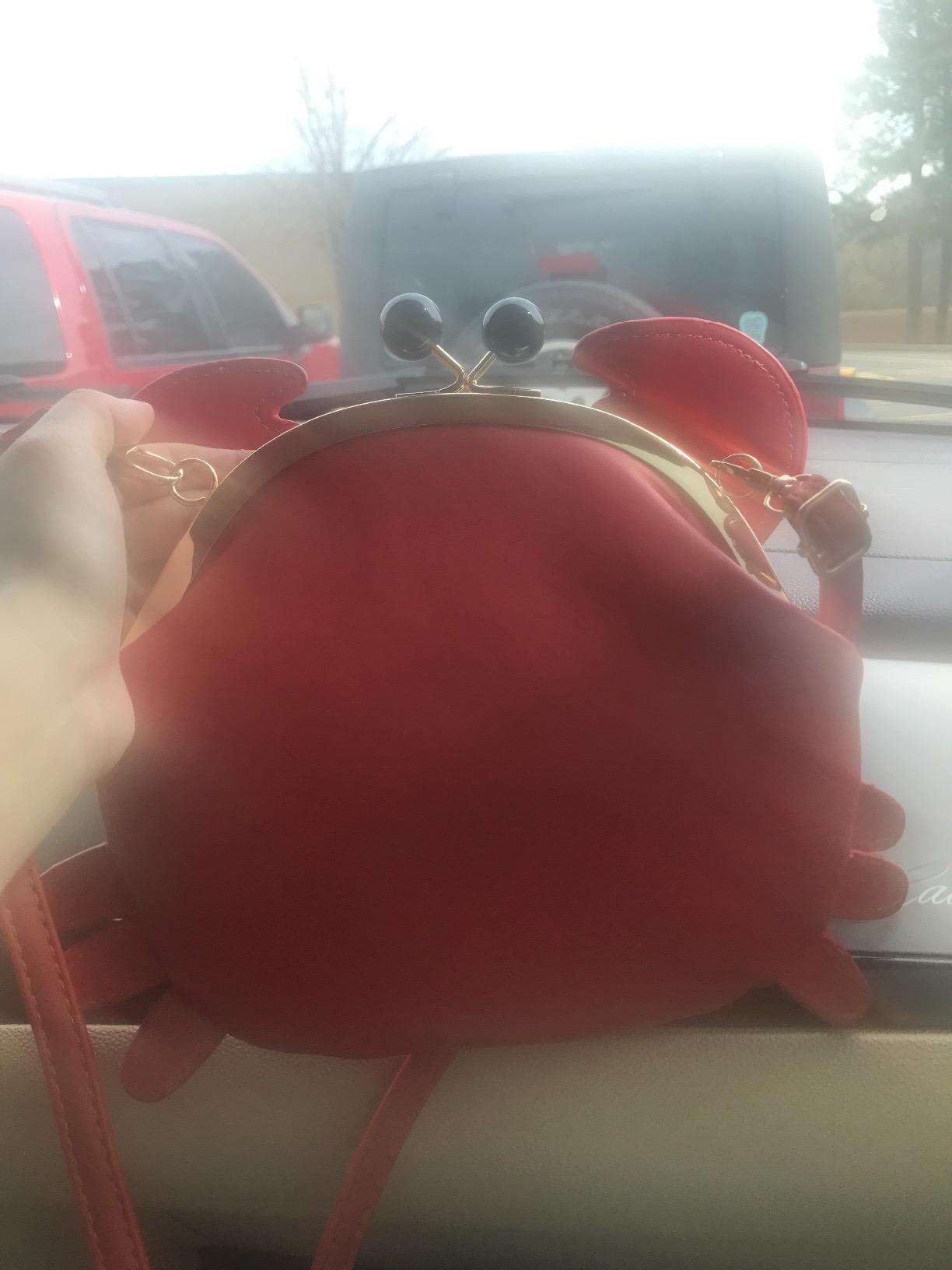 Crab Purse Lobster Novelty Bag - Animal Shells Crossbody Handbag for Women | 3D Crab Shell Shape Novelty Purse, PU Faux Leather, Detachable Strap, For Party Shopping Travel, Women and Girls customer photo 1