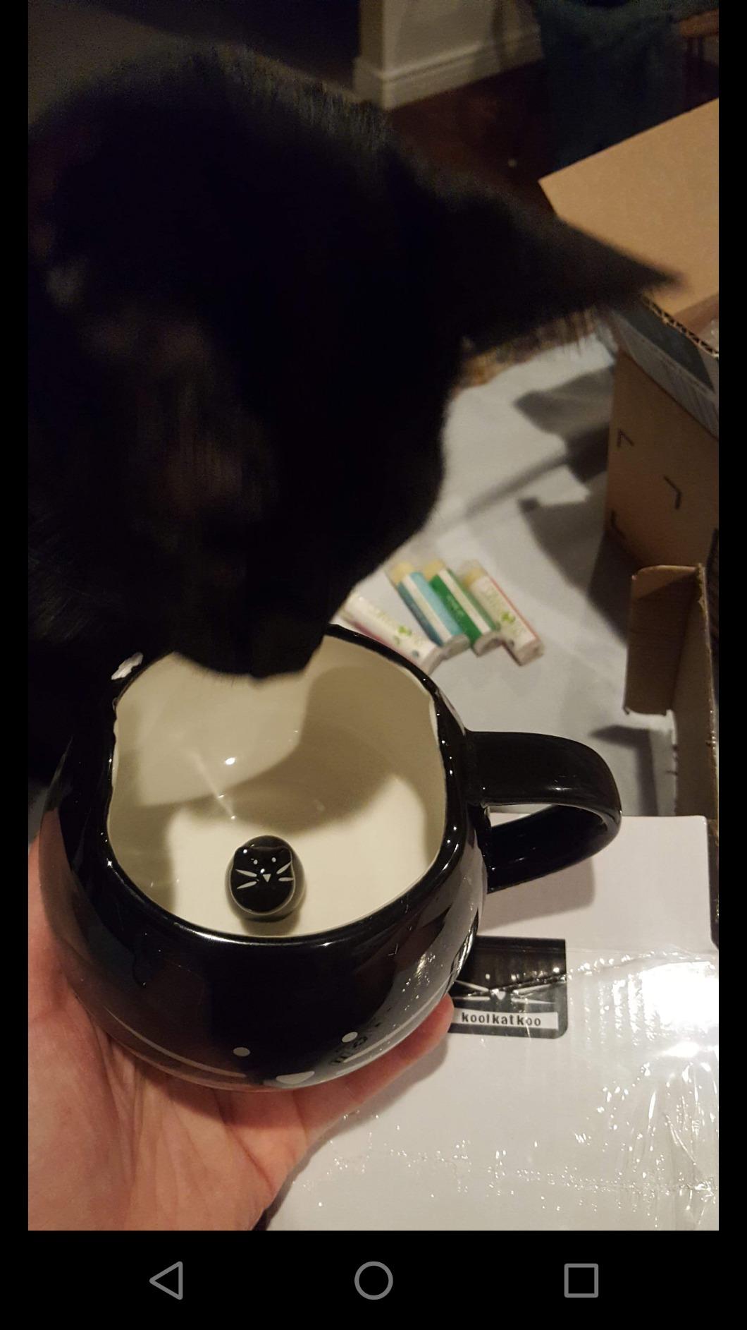 Koolkatkoo Cute Ceramic Cat Coffee Mug 12 oz Cat Lovers Kitty Tea Mugs Gifts for Women Girls Black customer photo 2