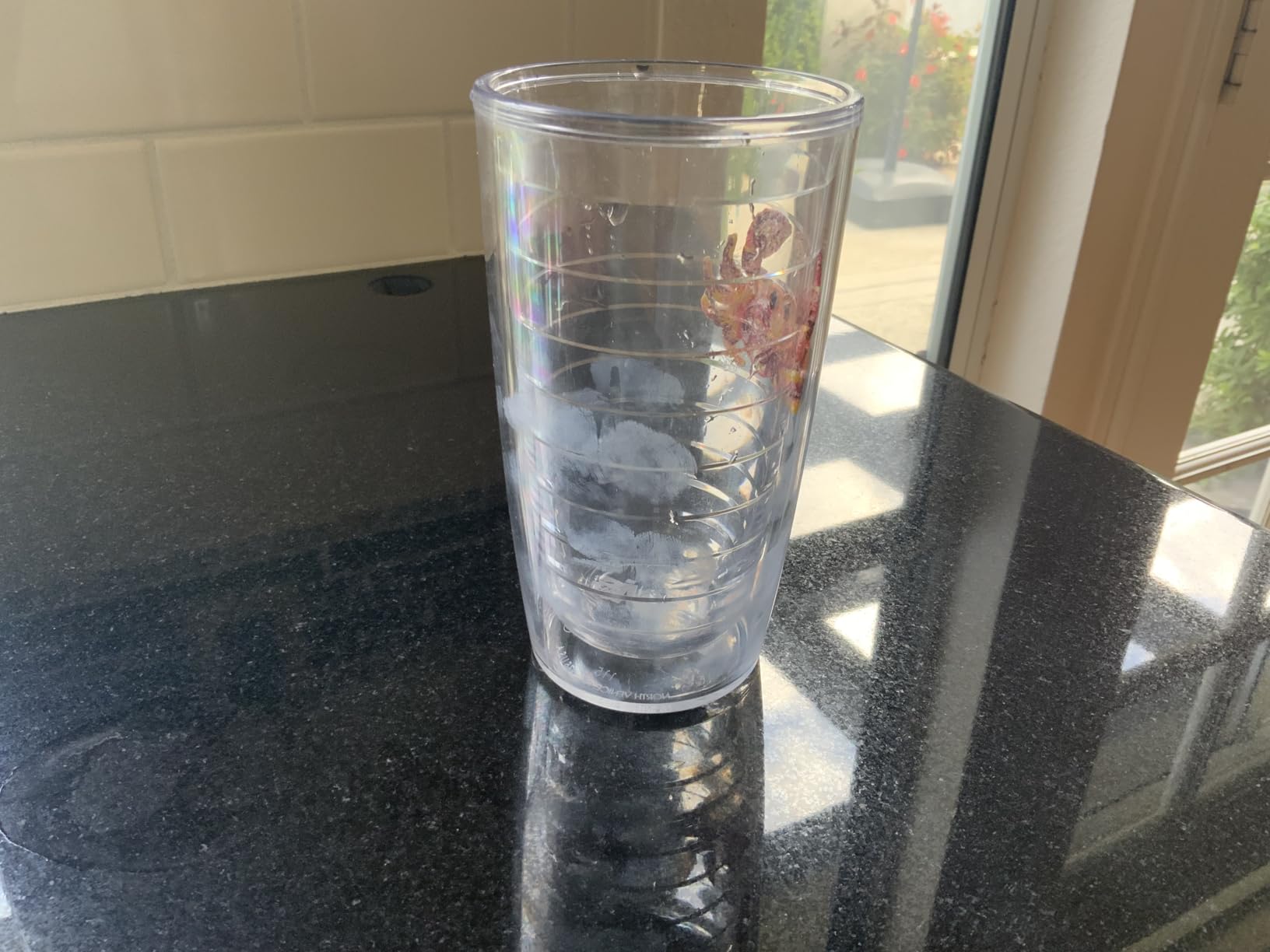 Tervis Purple Teal Seahorse, Clear, 16 oz customer photo 2