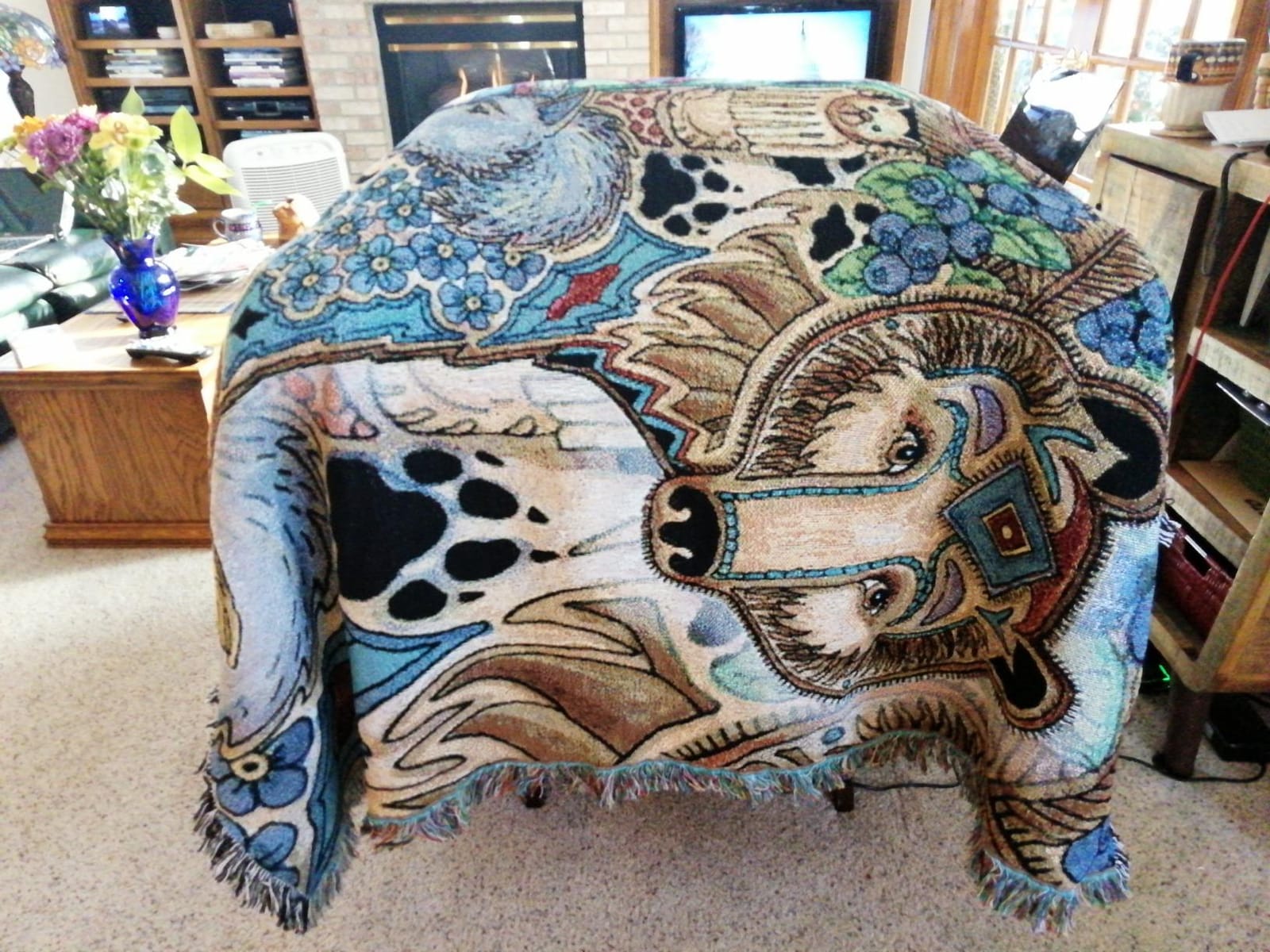 Pure Country Weavers Bison Buffalo Blanket - Animal Spirits Totem by Sue Coccia - Gift Tapestry Throw Woven from Cotton - Made in the USA (72x54) customer photo 2