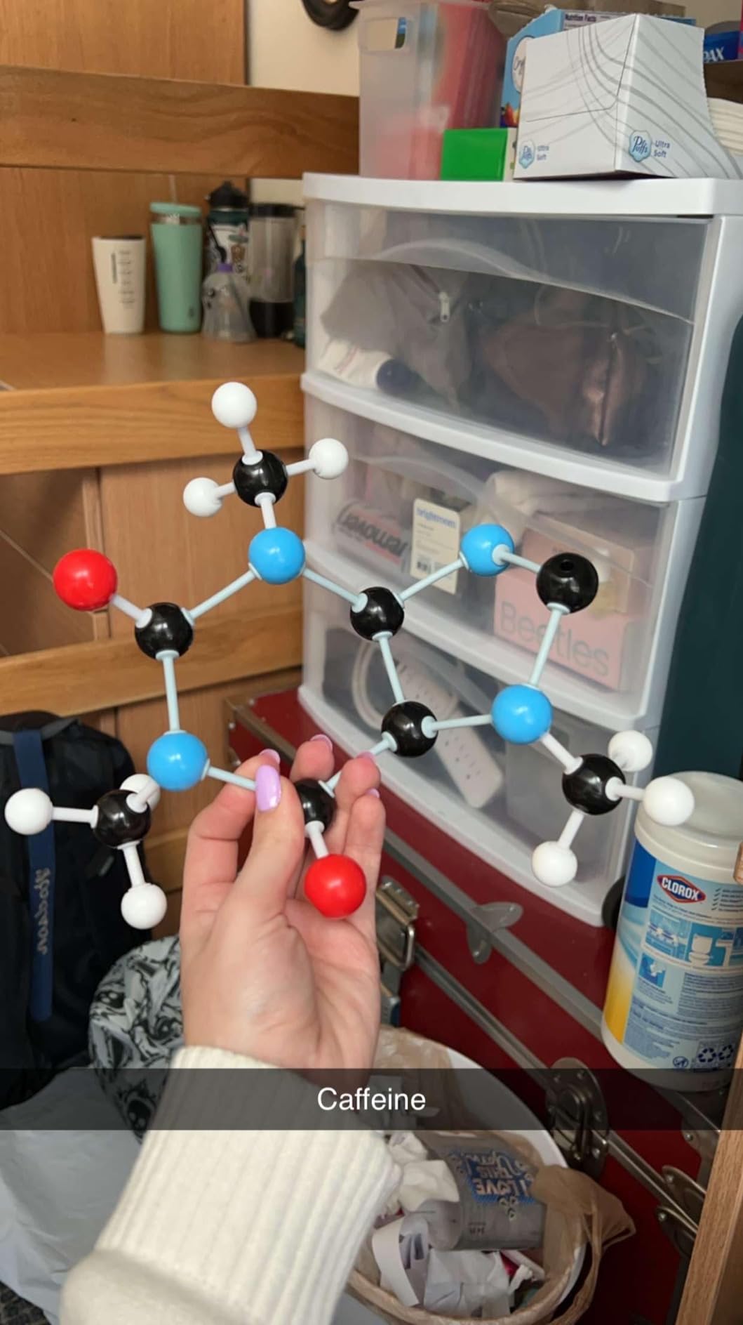 Swpeet 240 Pcs Organic Chemistry Molecular Model Student and Teacher Kit - 86 Atoms & 153 Bonds & 1 Short Link Remover Tool customer photo 1