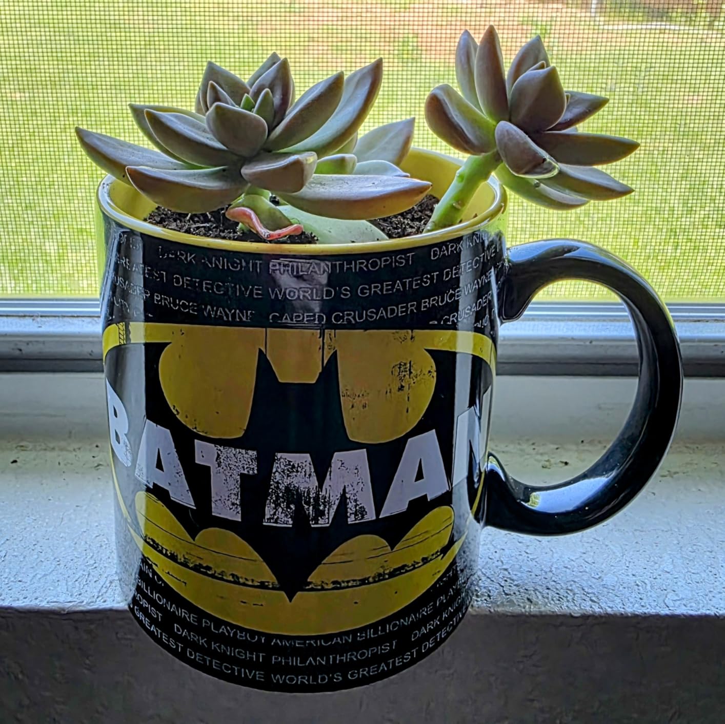 Silver Buffalo DC Comics Batman Superhero Logo, Ceramic Mug, 20oz customer photo 1