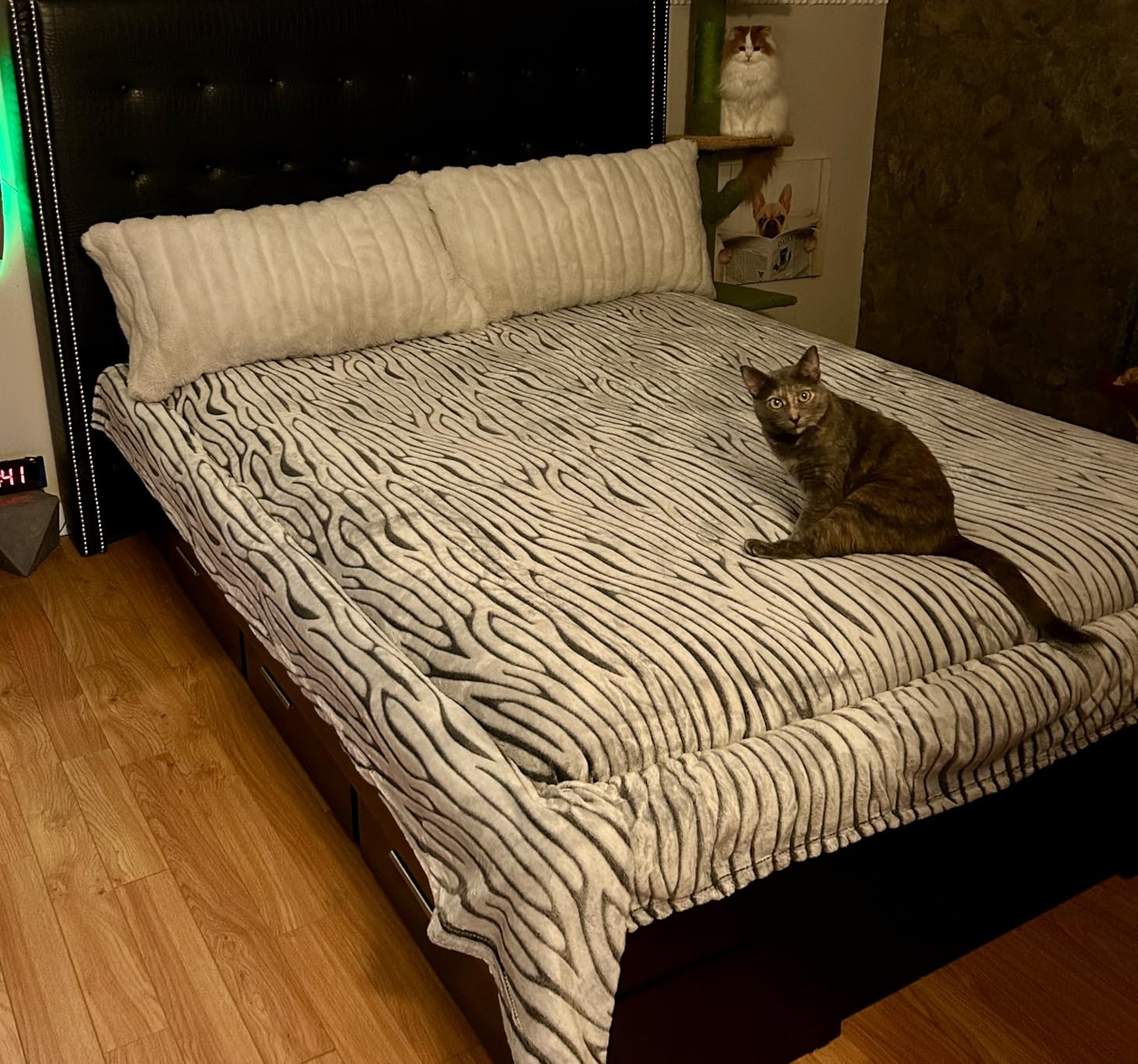 FY FIBER HOUSE Snow Leopard Blanket Throw Blanket Valentiens Day Blanket Gifts for Men Soft Cozy Blanket for Lover Women Girls Home Decor, 50