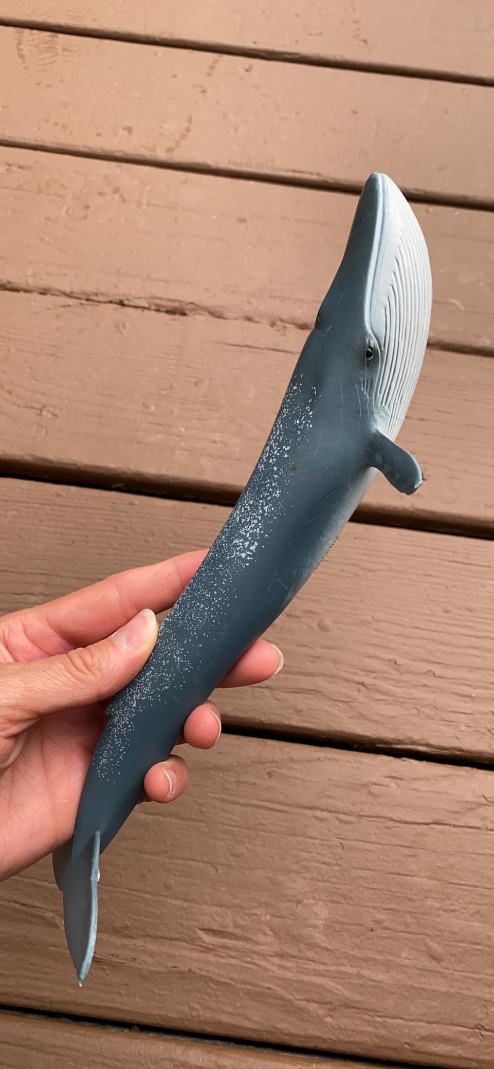 Schleich Wild Life - Great White Shark Toy Figurine - Kids Ages 3+ | 14809 | Wild Animal Figurine, Realistic Animal Toys, Safari Toy for Boys and Girls customer photo 2