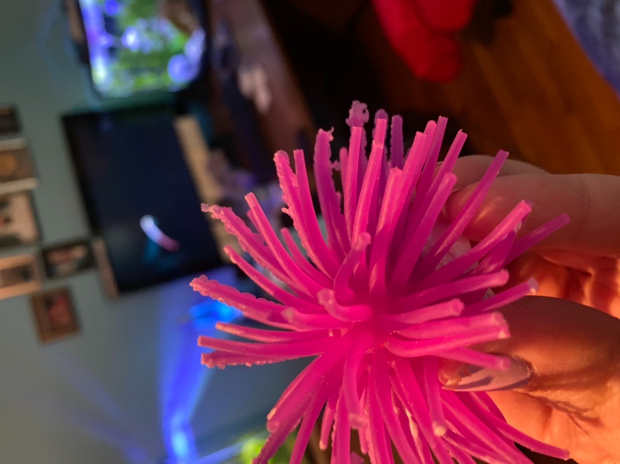 Cosmos Artificial Sea Anemone Ornaments Aquarium Fish Tank Decorations, 5 Pcs in Assorted Colors customer photo 2