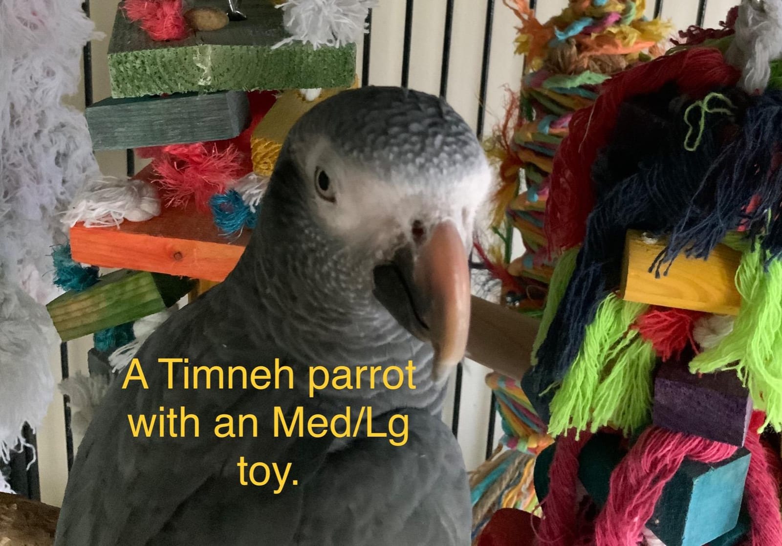 Extra Large Natural Wood Bird Toys for Macaws, African Grey, Amazon Parrots | MEWTOGO, Fun to Climb on, to Swing on, to Chew on, to Unravel, to Preen, Brightly Colored, Appealing to Birds, Bird Gifts customer photo 2