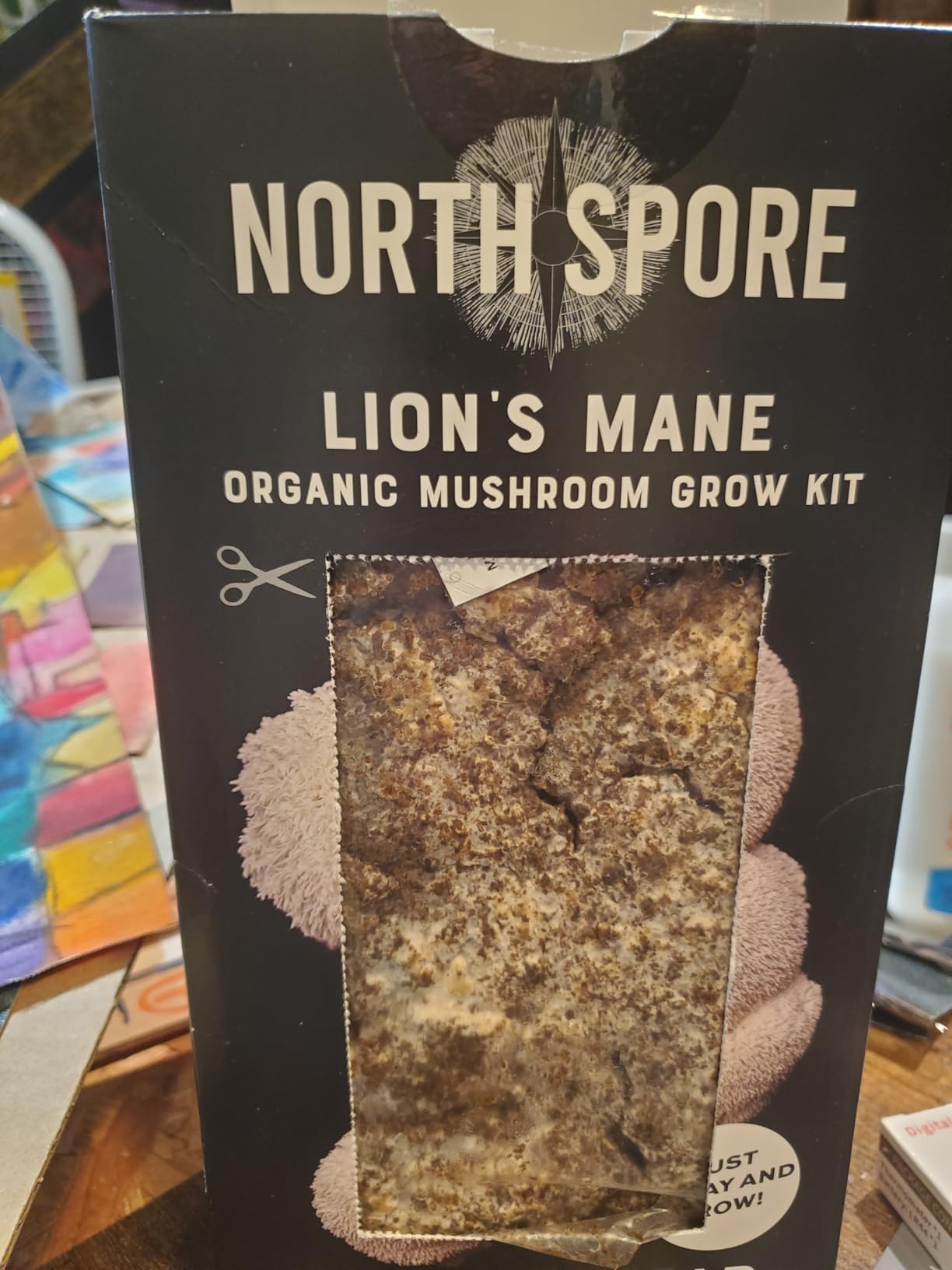 North Spore Organic Lion's Mane Mushroom Spray & Grow Kit (4 lbs) | USDA-Certified Organic, Non-GMO, Beginner-Friendly & Easy to Use | Handmade in Maine, USA customer photo 1