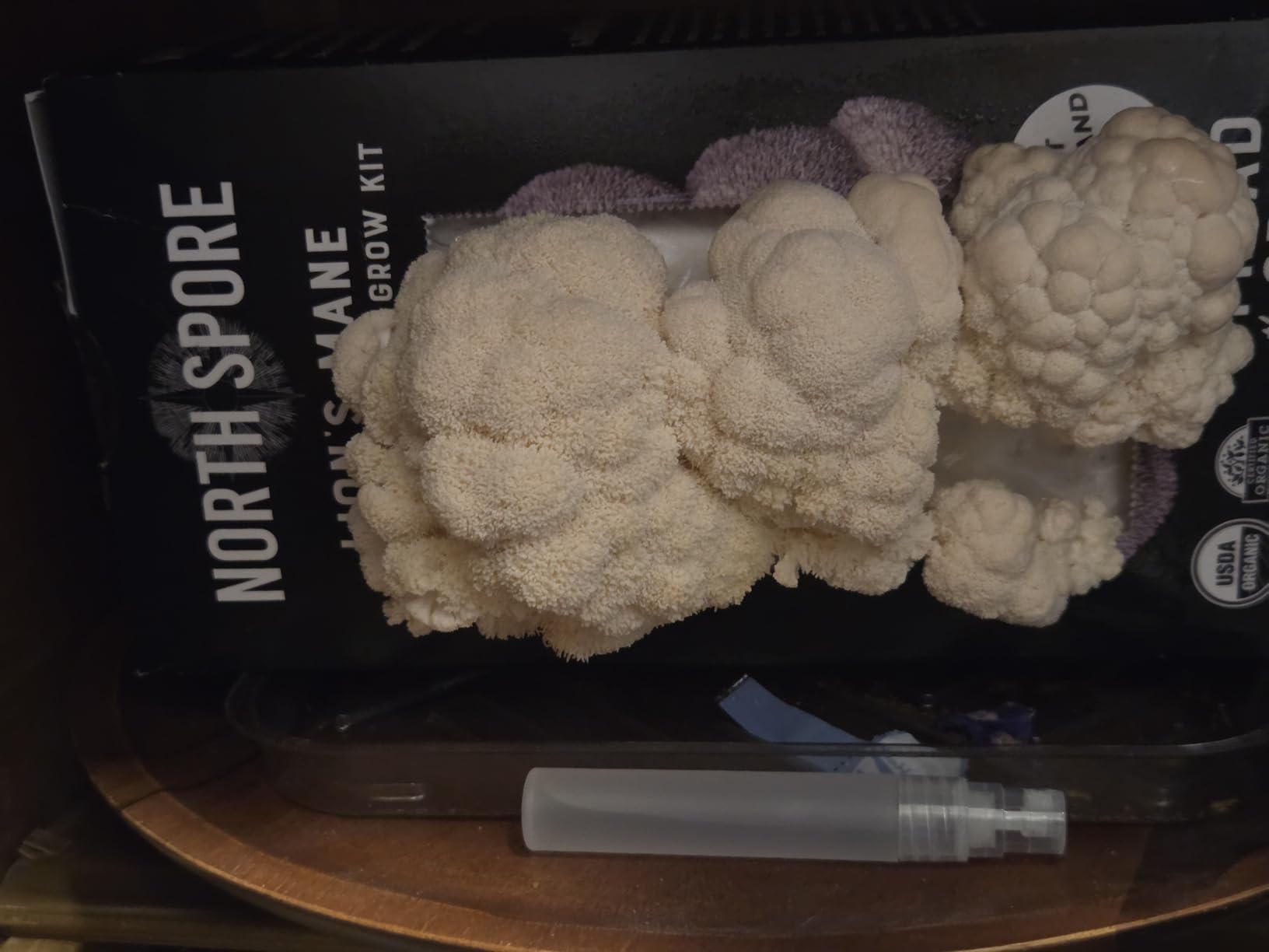 North Spore Organic Lion's Mane Mushroom Spray & Grow Kit (4 lbs) | USDA-Certified Organic, Non-GMO, Beginner-Friendly & Easy to Use | Handmade in Maine, USA customer photo 2