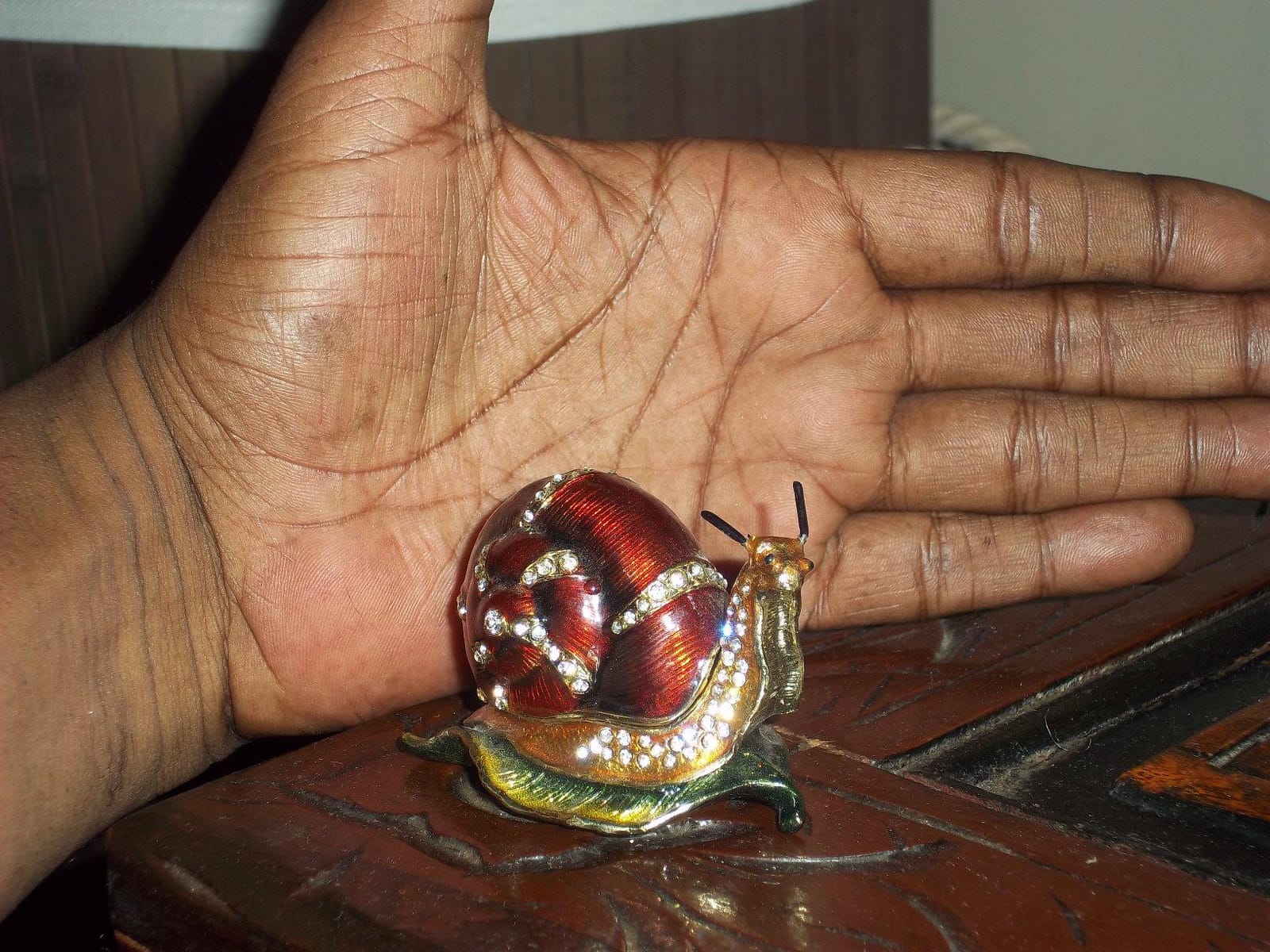 Grasshopper Trinket Box Hinged Hand-Painted Enameled Figurine Collectible Jewelry Box Ring Holder,Unique Gift for Home Decor customer photo 1