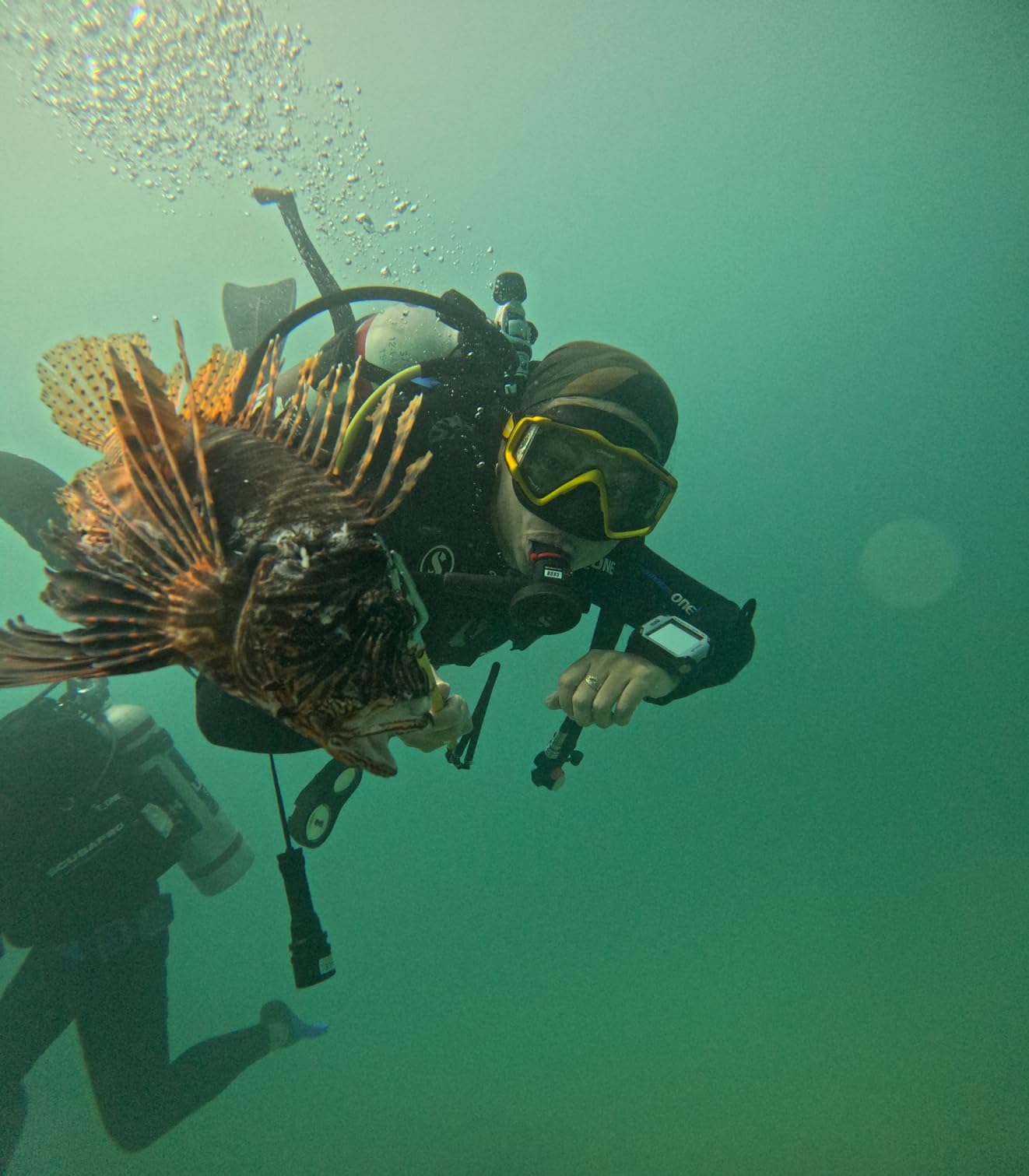 Cressi Perfect View Scuba Diving, Snorkeling Mask in Pure Comfortable Silicone - Liberty Triside: Designed in Italy customer photo 1