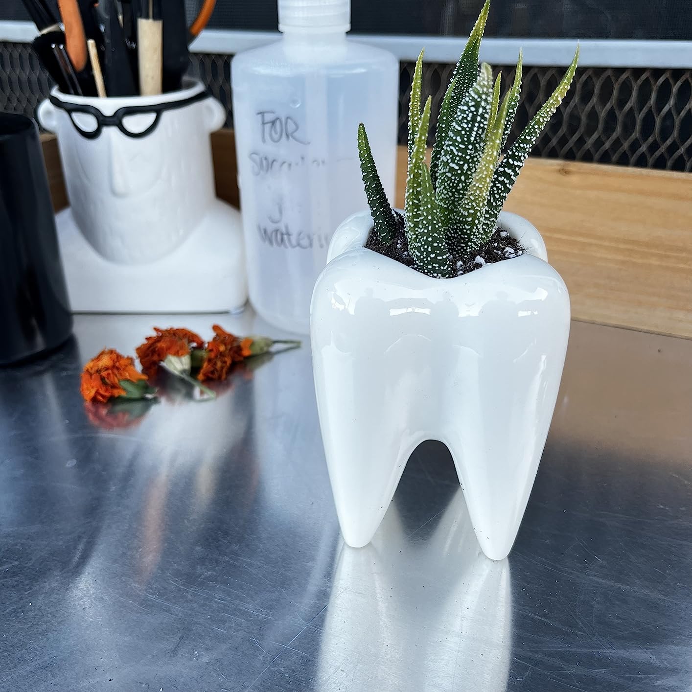 Ceramic Tooth Shaped Pen Pencil Toothbrush Holder Pot Succulent Plant Pot Home Office School Dentists Gift Ideal Gifts for Women, Mom or Birthdays customer photo 1