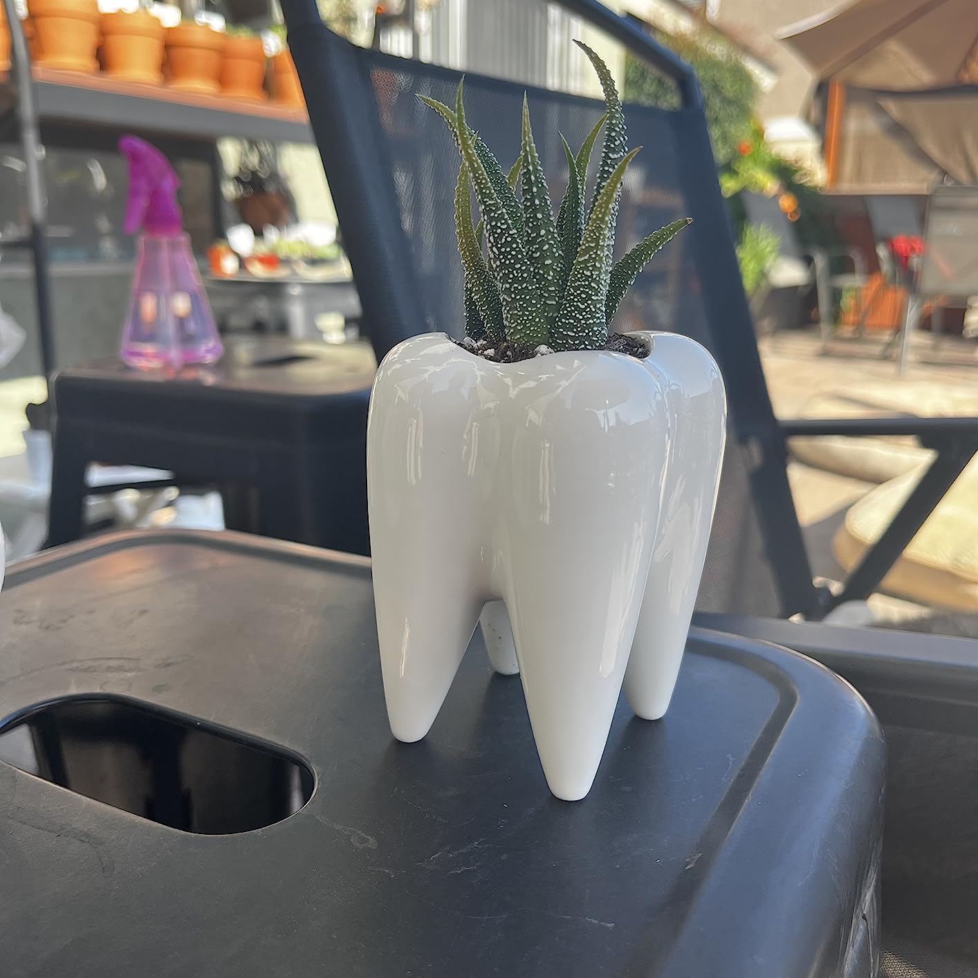 Ceramic Tooth Shaped Pen Pencil Toothbrush Holder Pot Succulent Plant Pot Home Office School Dentists Gift Ideal Gifts for Women, Mom or Birthdays customer photo 2