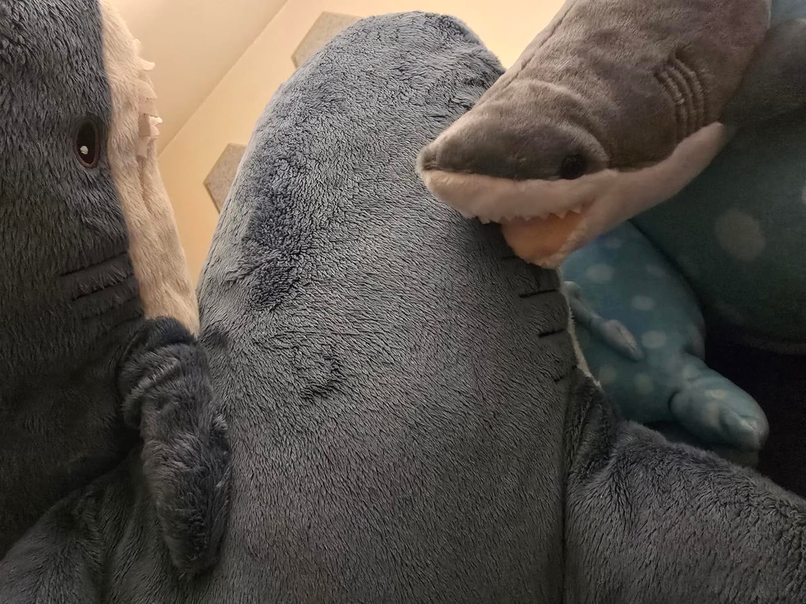 Wild Republic Great White Shark Plush, Stuffed Animal, Plush Toy, Gifts for Kids, Cuddlekins 13 inches customer photo 2