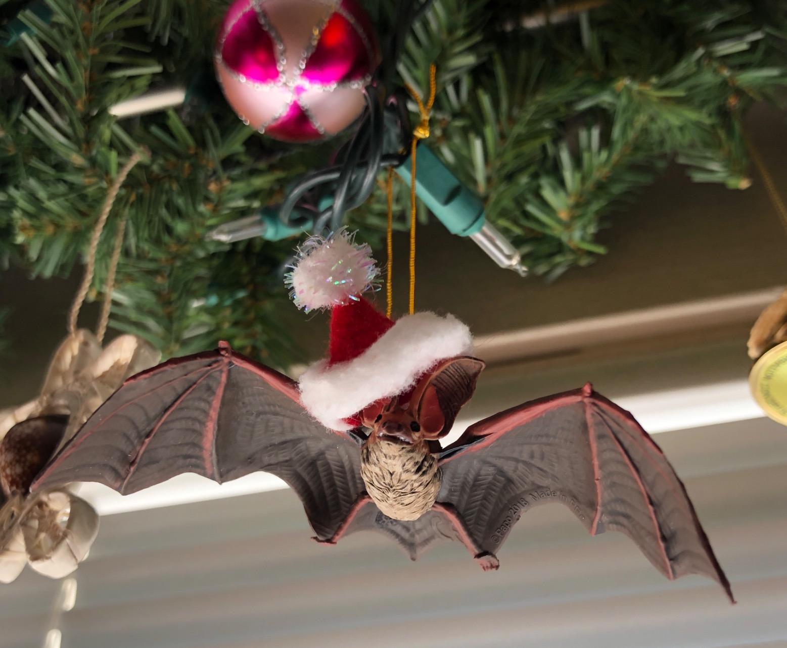 Papo Realistic Bat Figurine Toy, Wild Life Collection, Kids Ages 3+ | Educational play sparking curiosity about nature | 10 x 5 x 2.5 cm | hand-painted | original gift for girls and boys too customer photo 2
