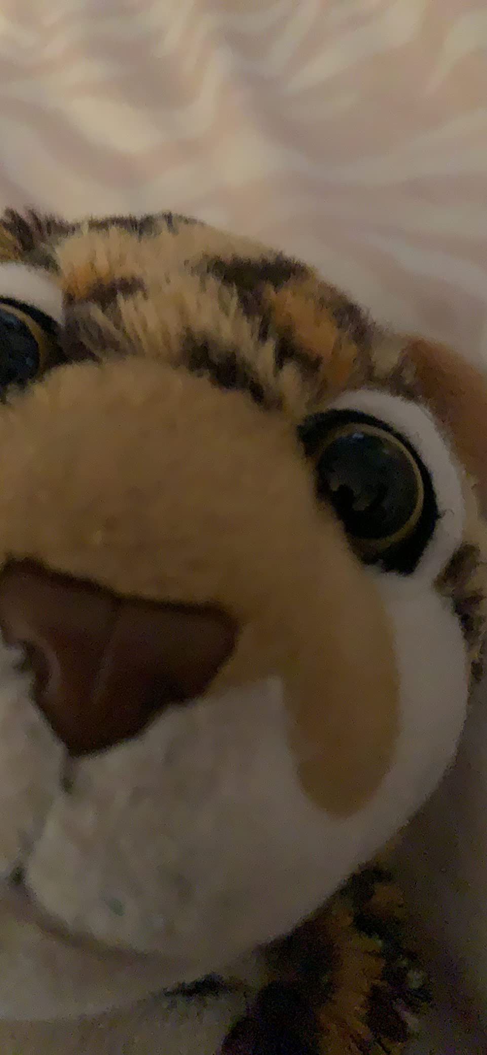 Wild Republic Cuddlekins Ocelot Stuffed Animal - 12