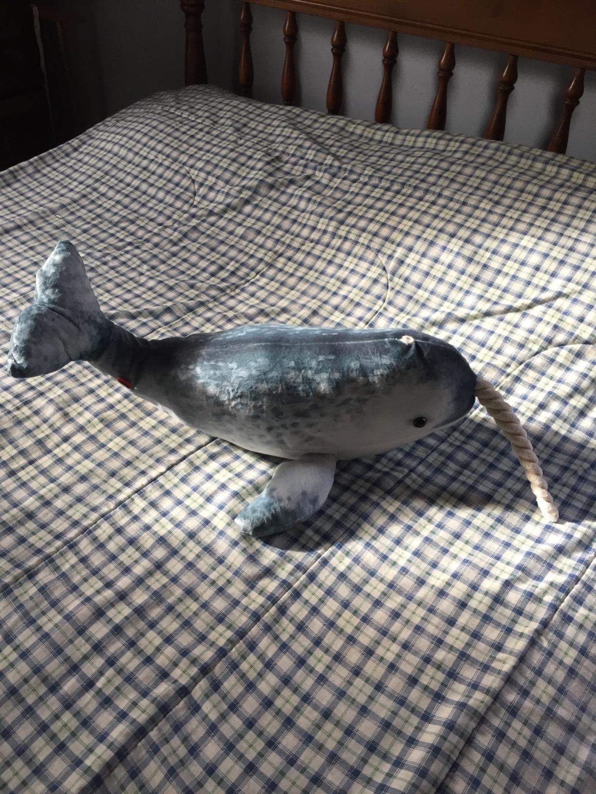 Wild Republic Narwhal Plush, Stuffed Animal, Plush Toy, Gifts for Kids, Living Ocean 25 Inches customer photo 1