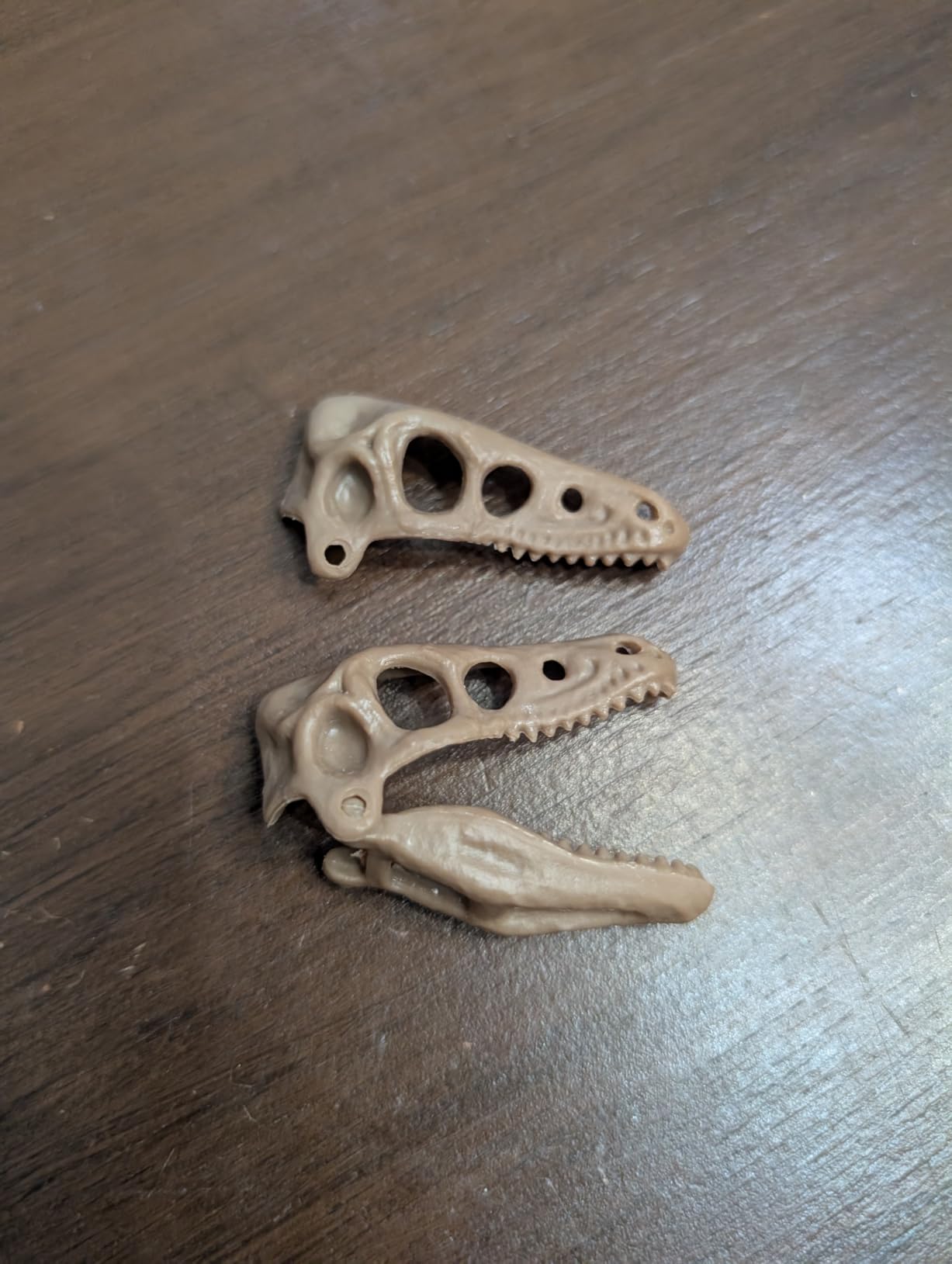 Discovery Dinosaur Fossil Dig Kit - Excavate & Assemble T-Rex & Velociraptor Skeletons| 3D Dino Bones Puzzles| Jurassic Paleontology Toy for Kids| STEM Science Activity Set| Girls & Boys Gift Ages 6+ customer photo 2