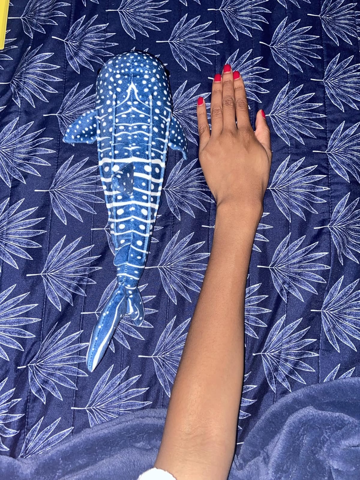 Douglas Decker Whale Shark Plush Stuffed Animal customer photo 1