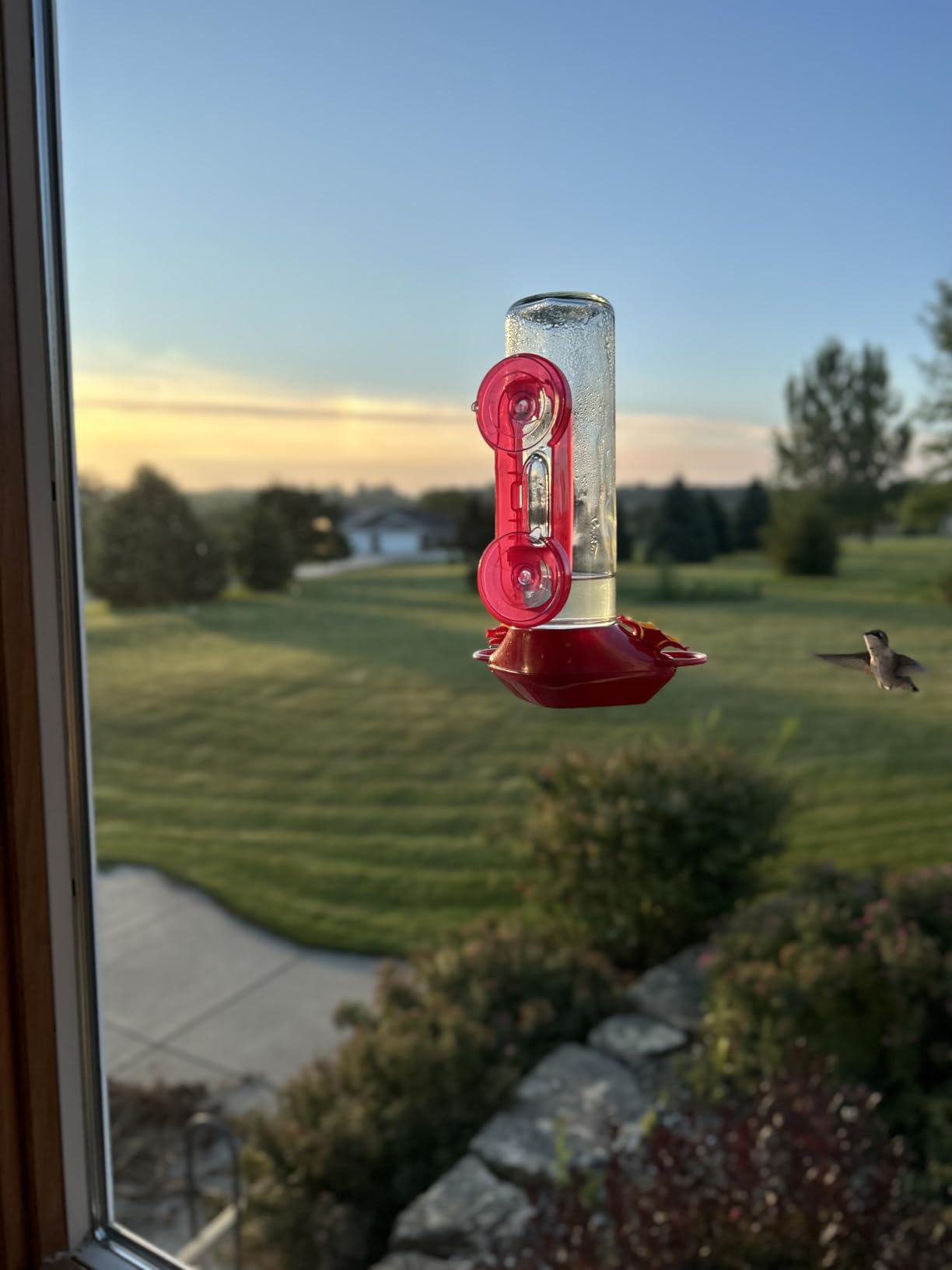 Perky-Pet Window-Mounted Glass Hummingbird Feeder, 14 fl oz Nectar Capacity, Entertaining Bird Watching, Glass Window Bird Feeder customer photo 2