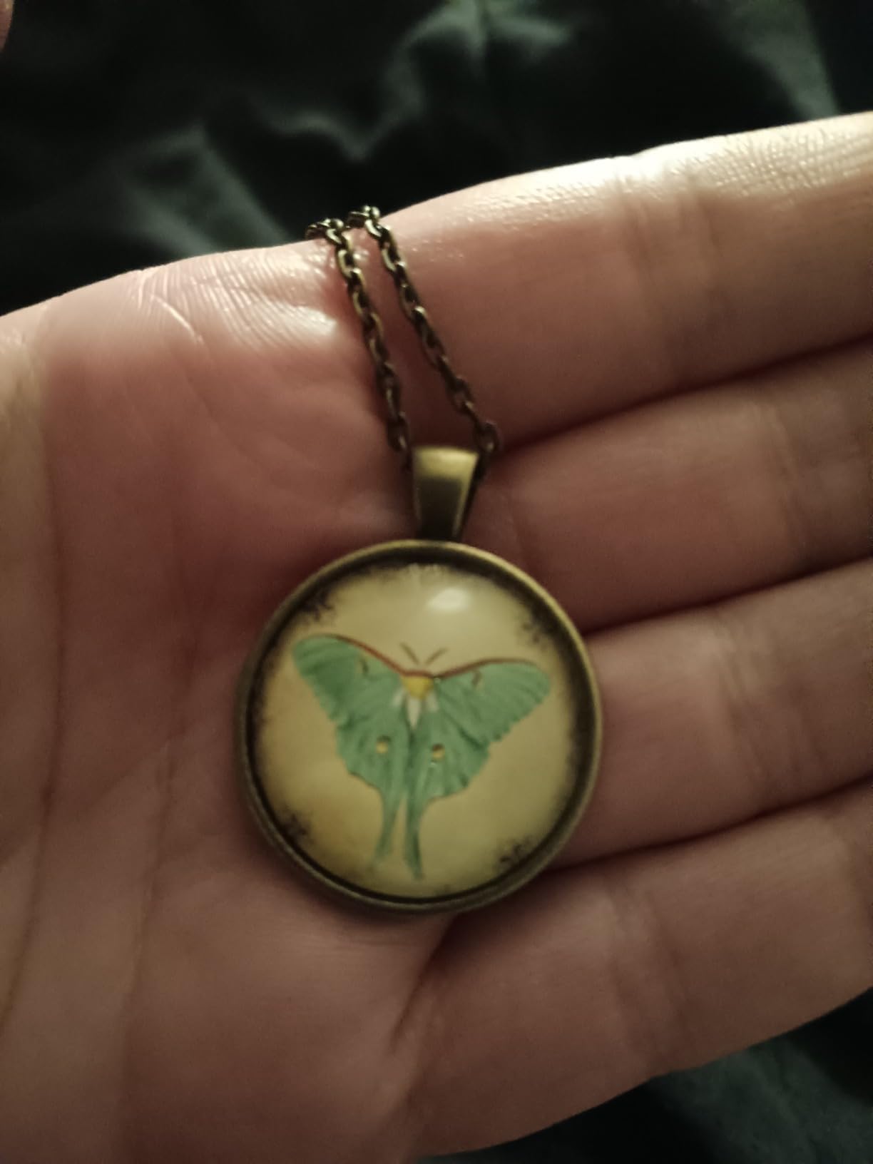 CellsDividing Green Luna Moth Necklace Pendant customer photo 1