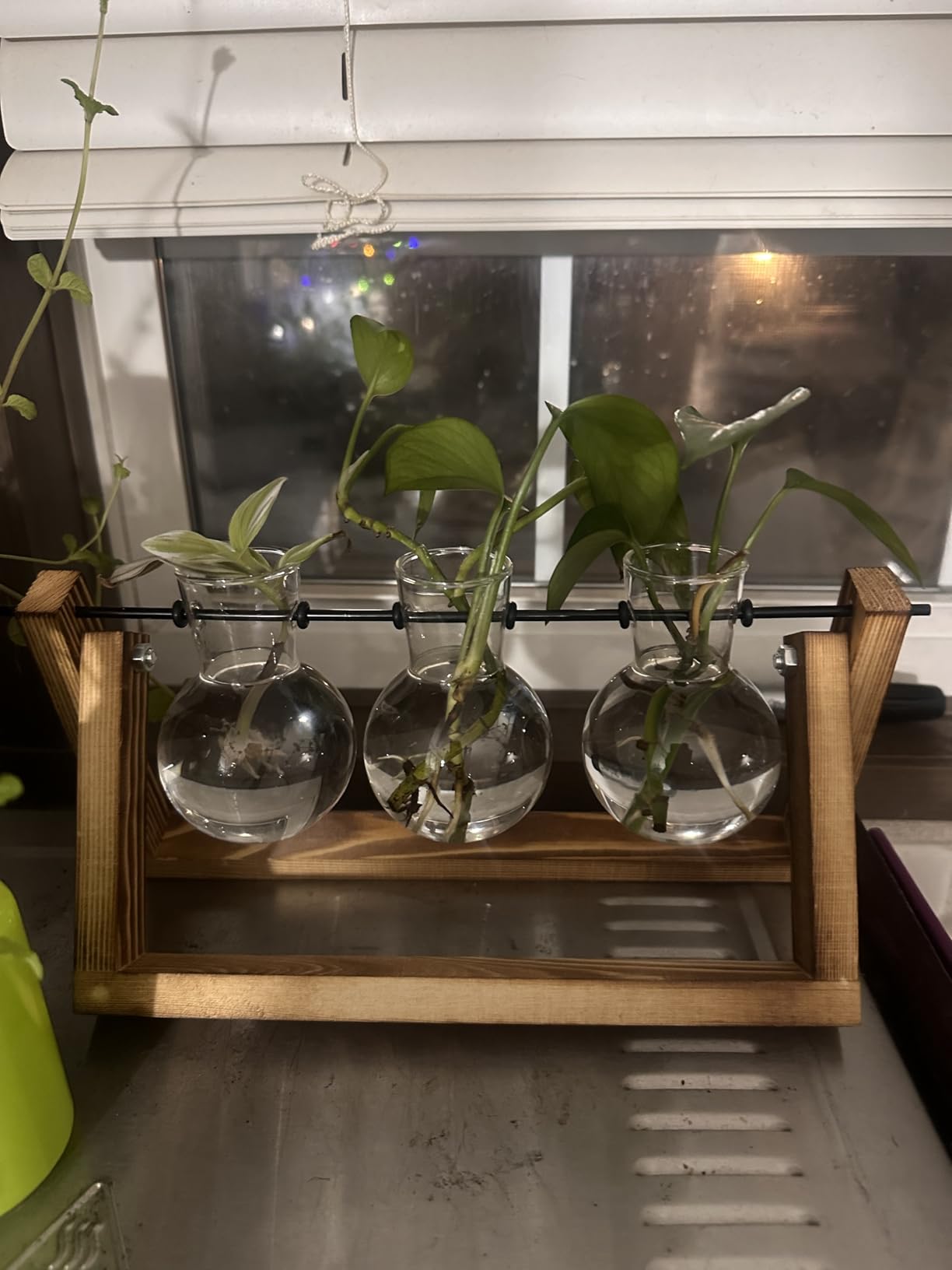 XXXFLOWER Plant Terrarium with Wooden Stand, Air Planter Bulb Glass Vase Metal Swivel Holder Retro Tabletop for Hydroponics Home Garden Office Decoration - 3 Bulb Vase customer photo 1